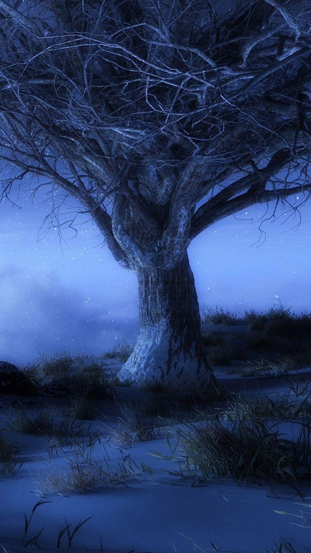 1080x1920 Resolution Image Night Background HD Wallpaper & Background Download