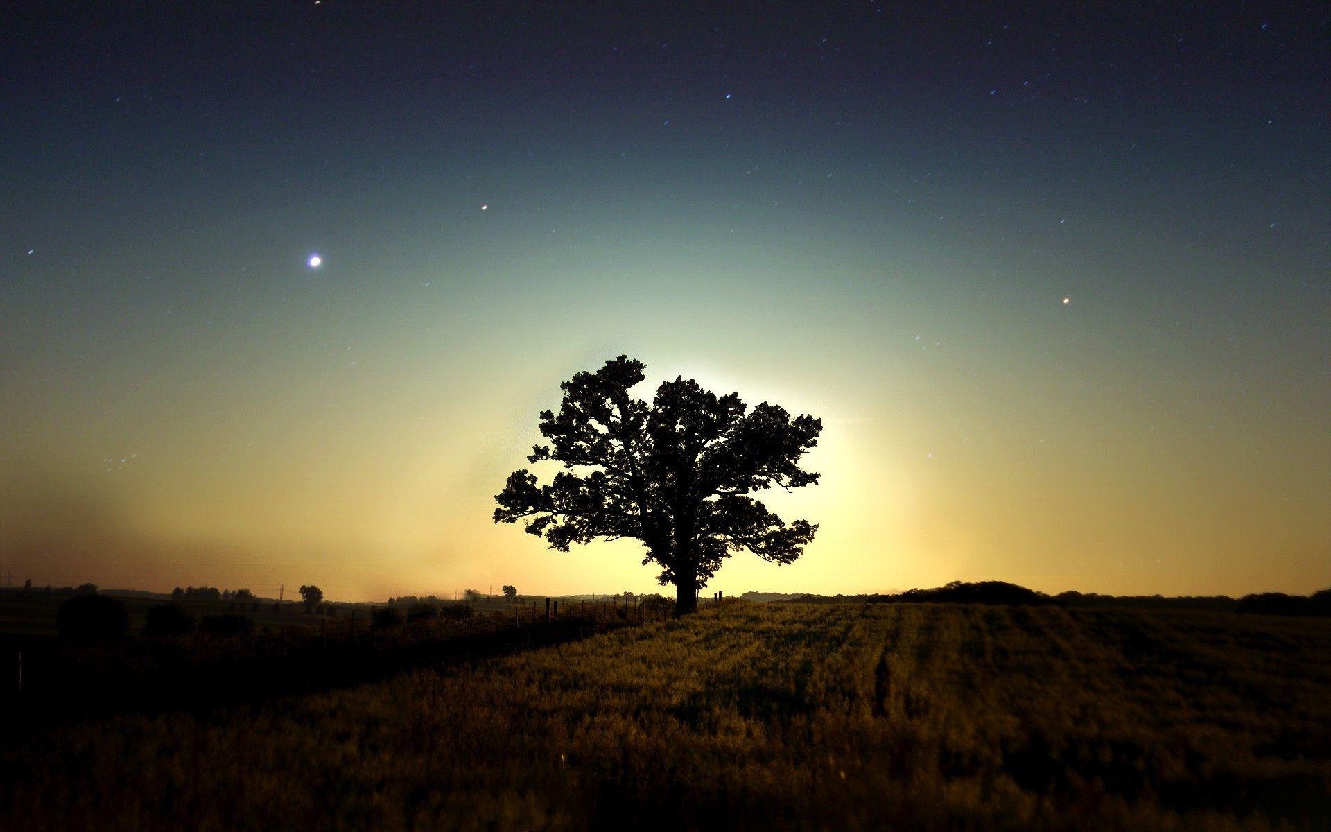Nature Night Hd Wallpapers - Top Free Nature Night Hd Backgrounds