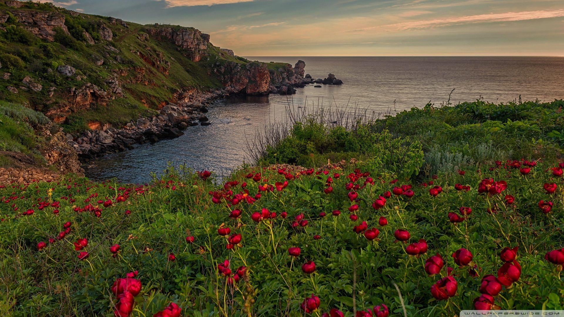 1920x1080 Kamen Bryag Sea Ultra HD Desktop Background Wallpaper for 4K UHD TV : Tablet