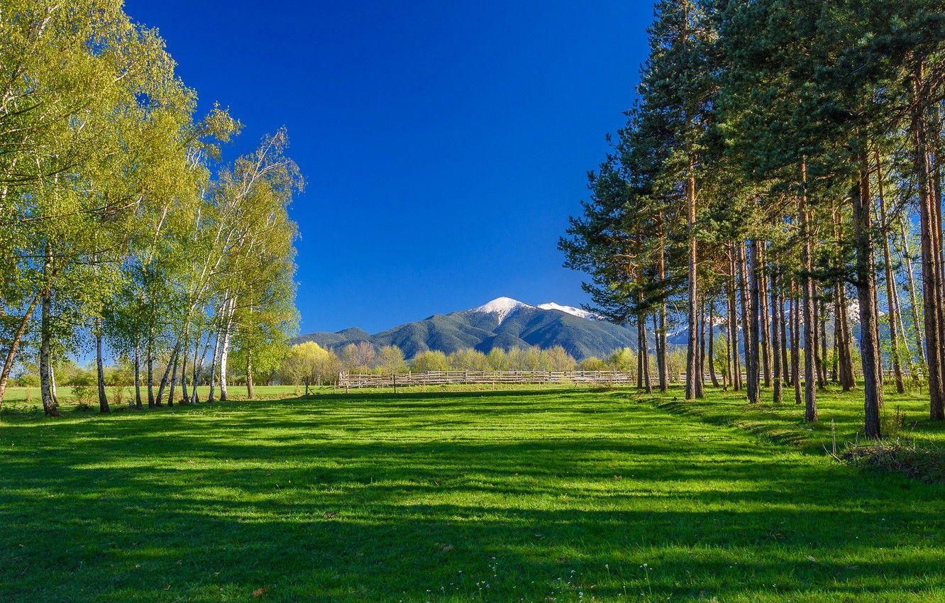 1332x850 Wallpaper grass, trees, mountains, Bulgaria image for desktop, section пейзажи