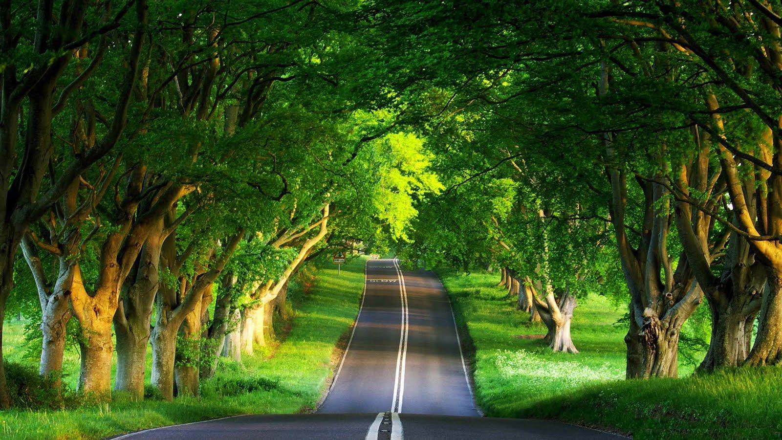 1600x900 Desktop Wallpaper HD Full Screen Nature