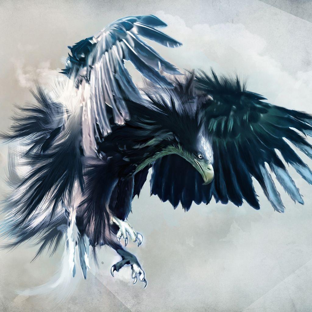1024x1024 Eagle Hawk Wallpaper