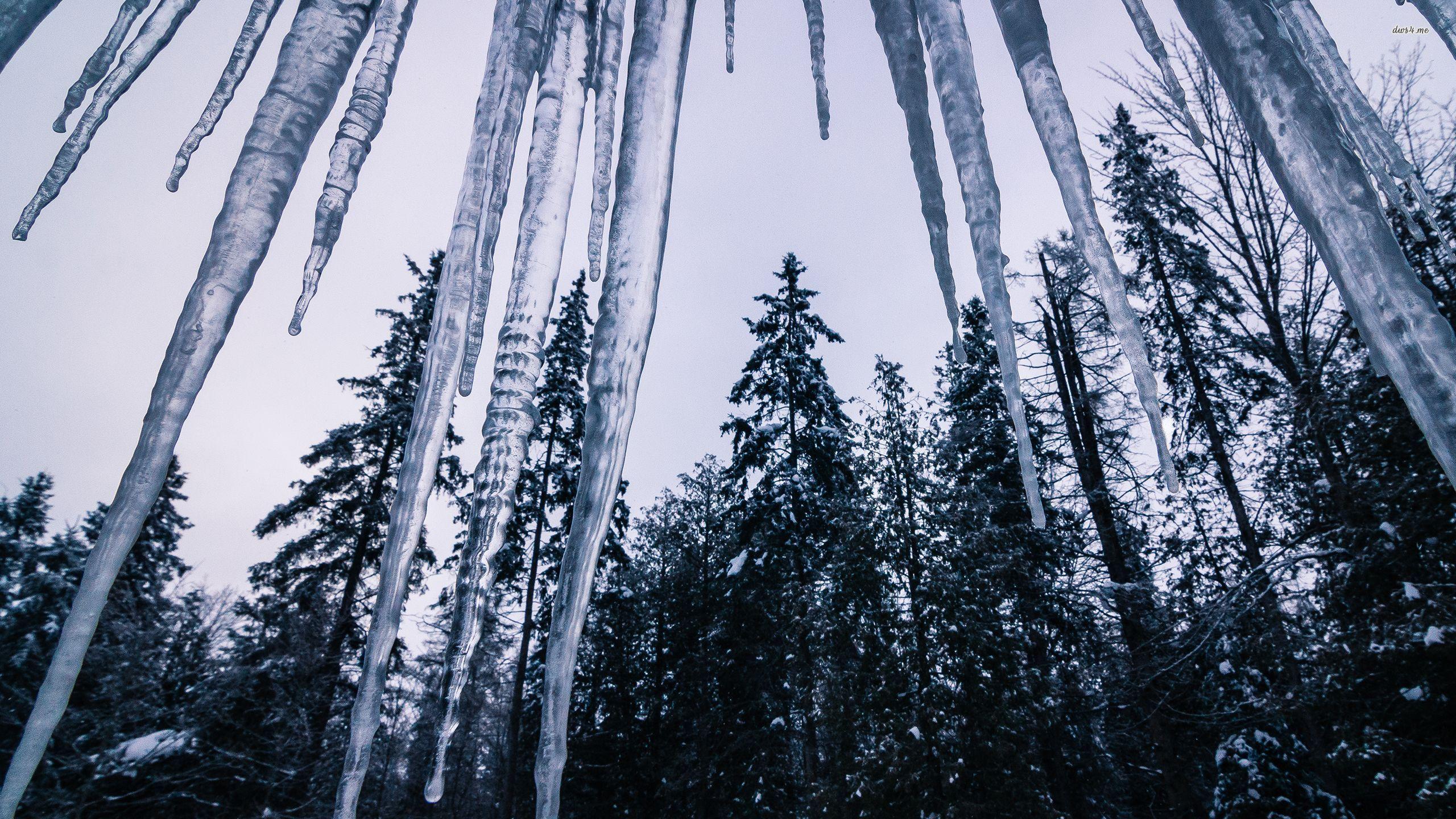 Icicle Wallpapers - Top Free Icicle Backgrounds - WallpaperAccess