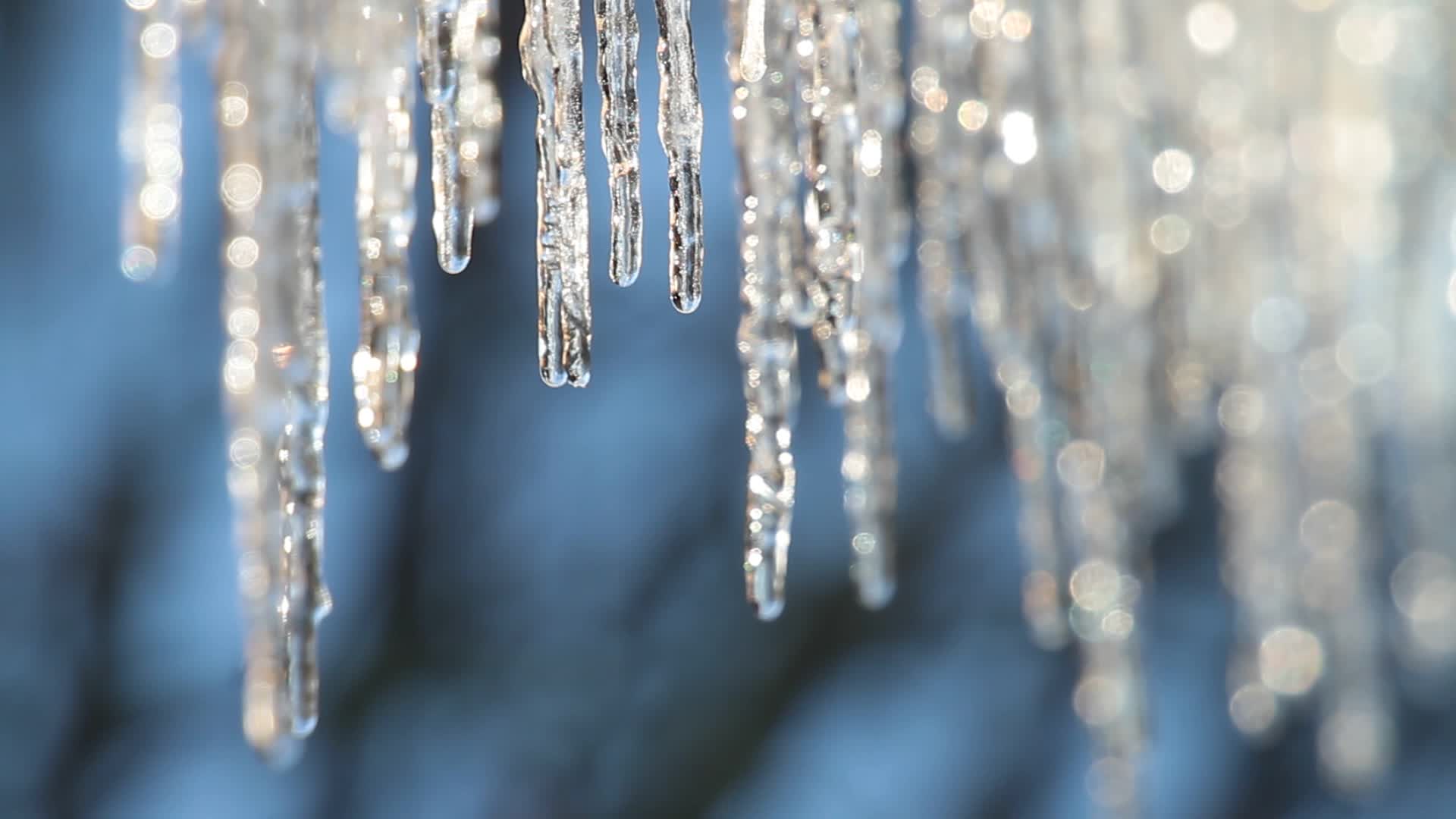 Звук капели слушать