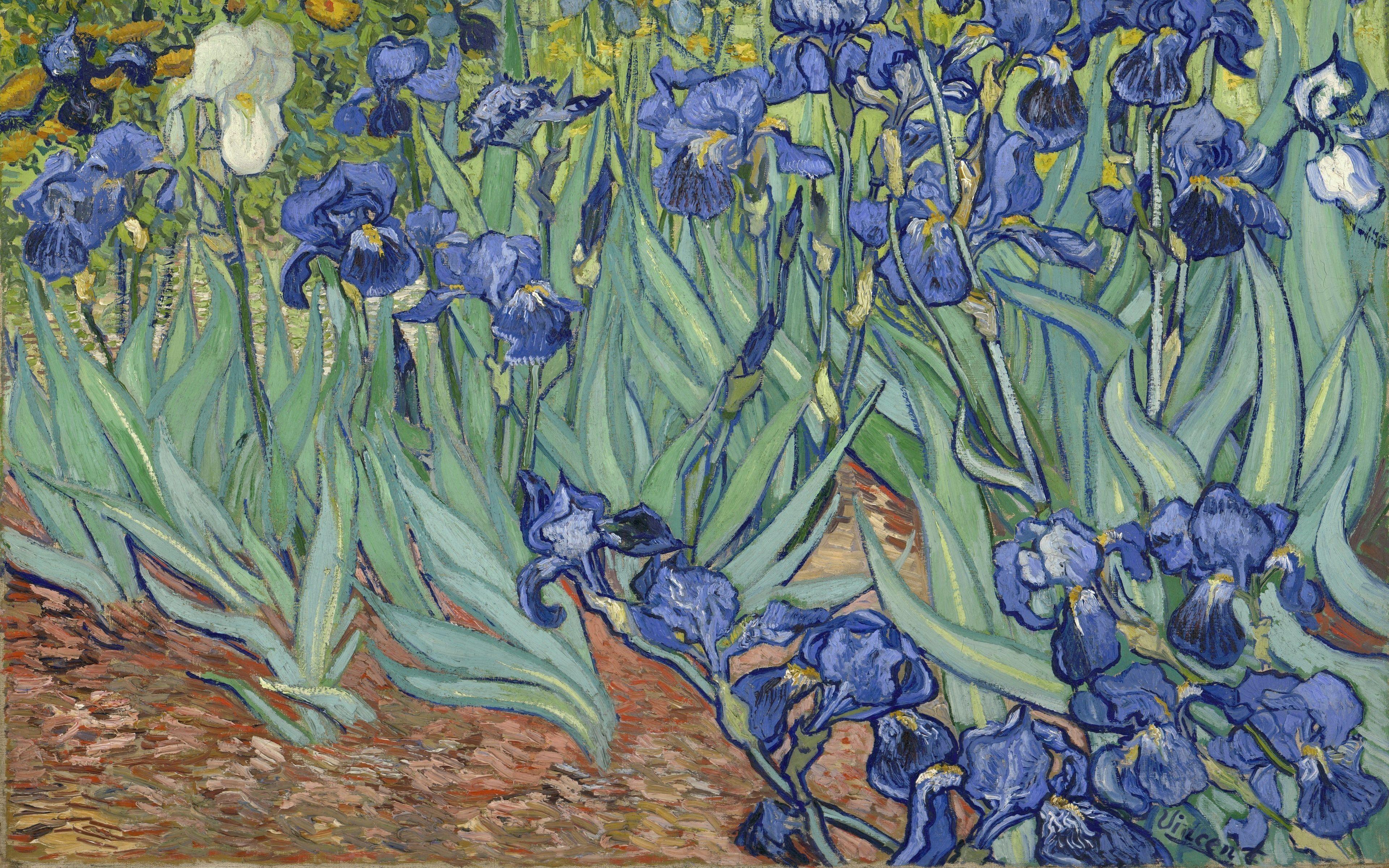 3840x2400 Download Wallpaper Dutch Post Impressionist Artist, Canvas, Irises, Oil For Desktop With Resolution 3840x2400. High Quality HD Picture Wallpaper