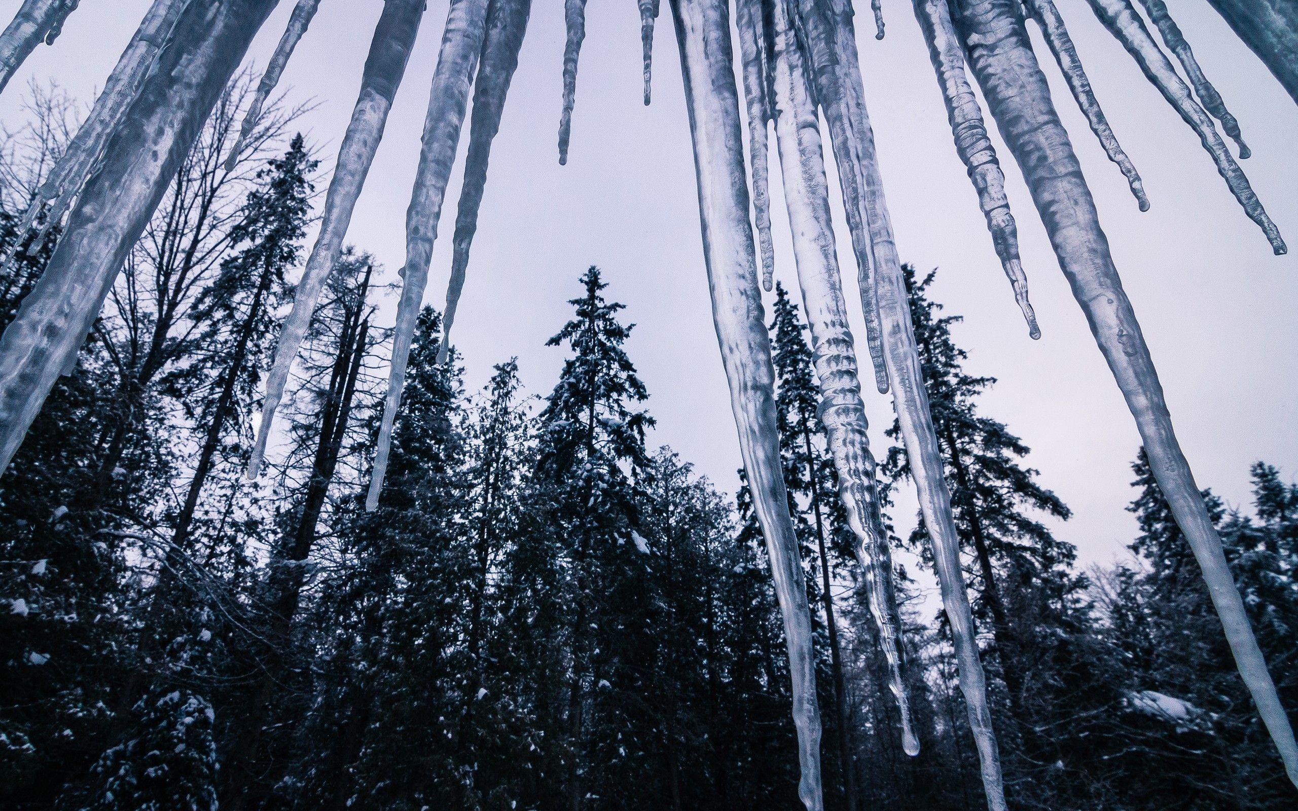2560x1600 Download, Ice, Winter, Macbook, Forest, Nice Weather Wallpaper, icicle, Trees