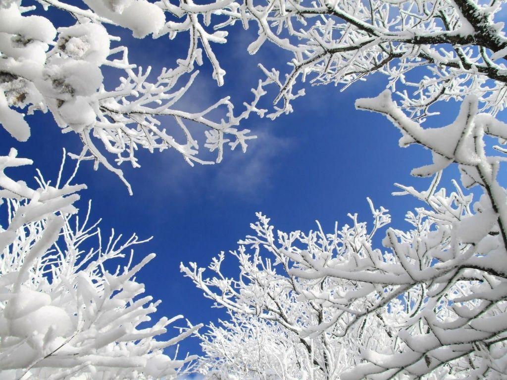 1024x768 Icicles Background Image