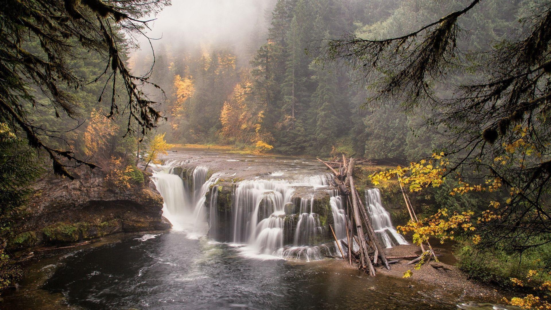 1920x1080 Download Wallpaper 1920x1080 Forest, River, Waterfall, Nature