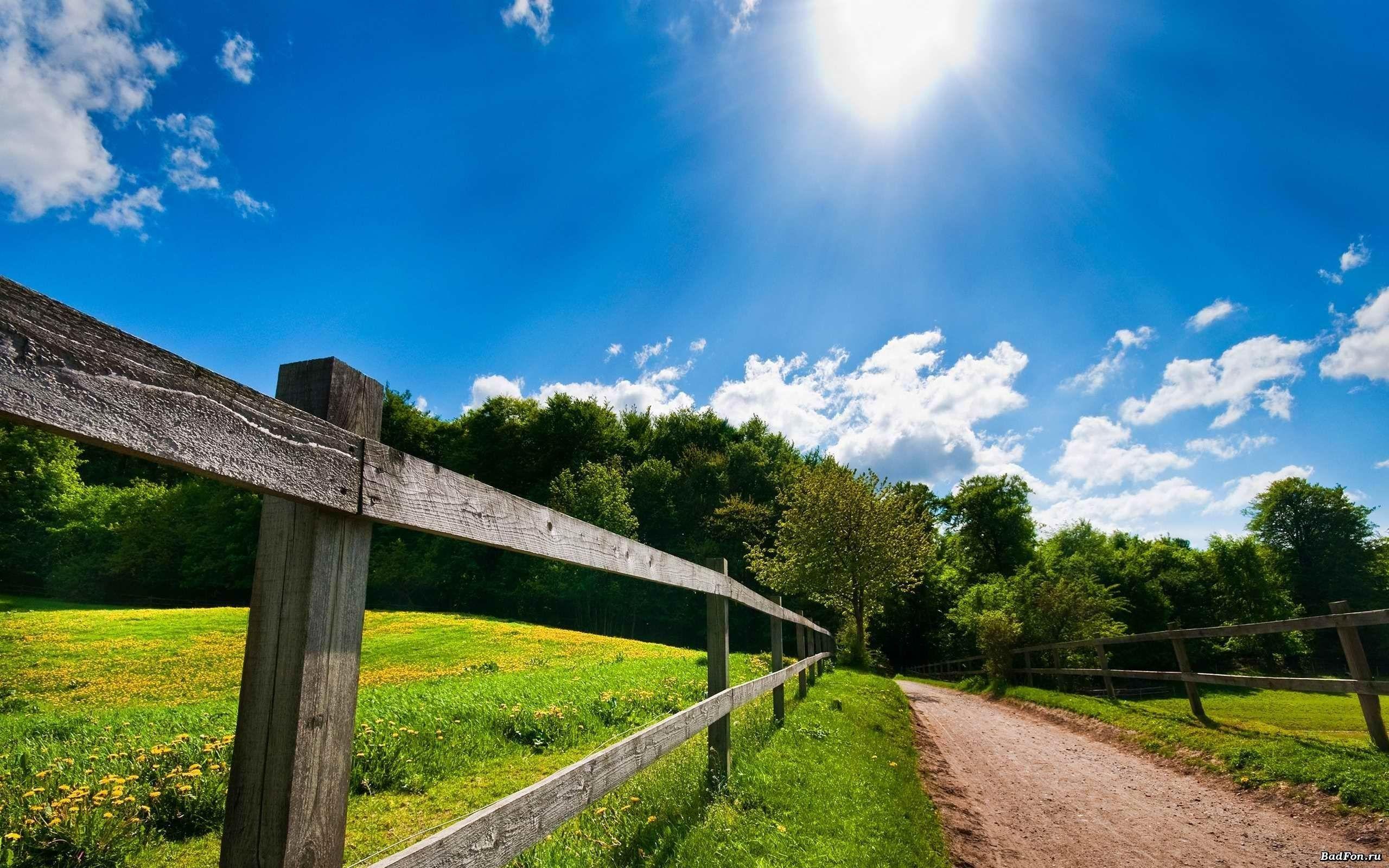 2560x1600 Sunny Day Wallpaper