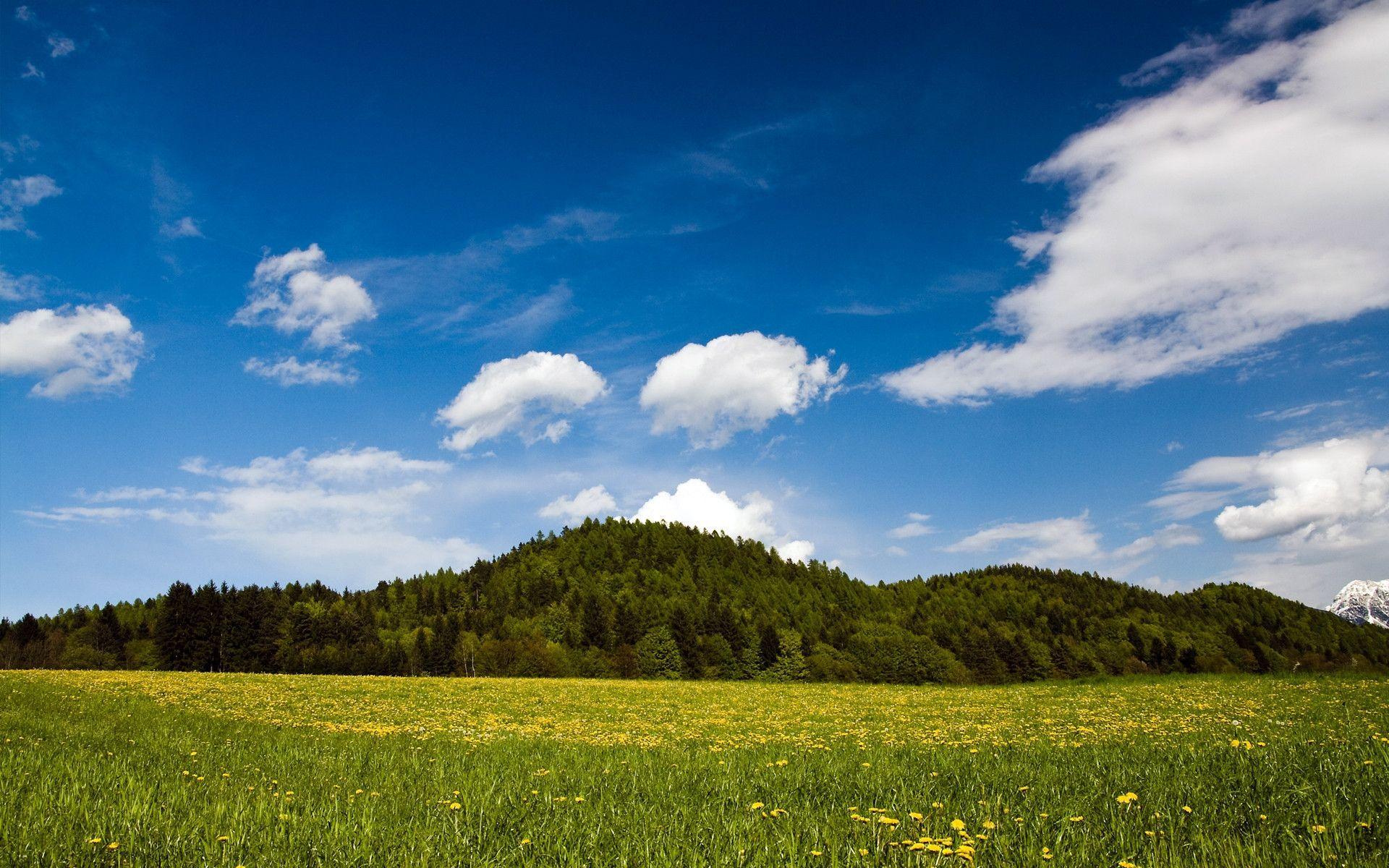 1920x1200 Sunny Day Wallpaper. HD Background Image. Photo
