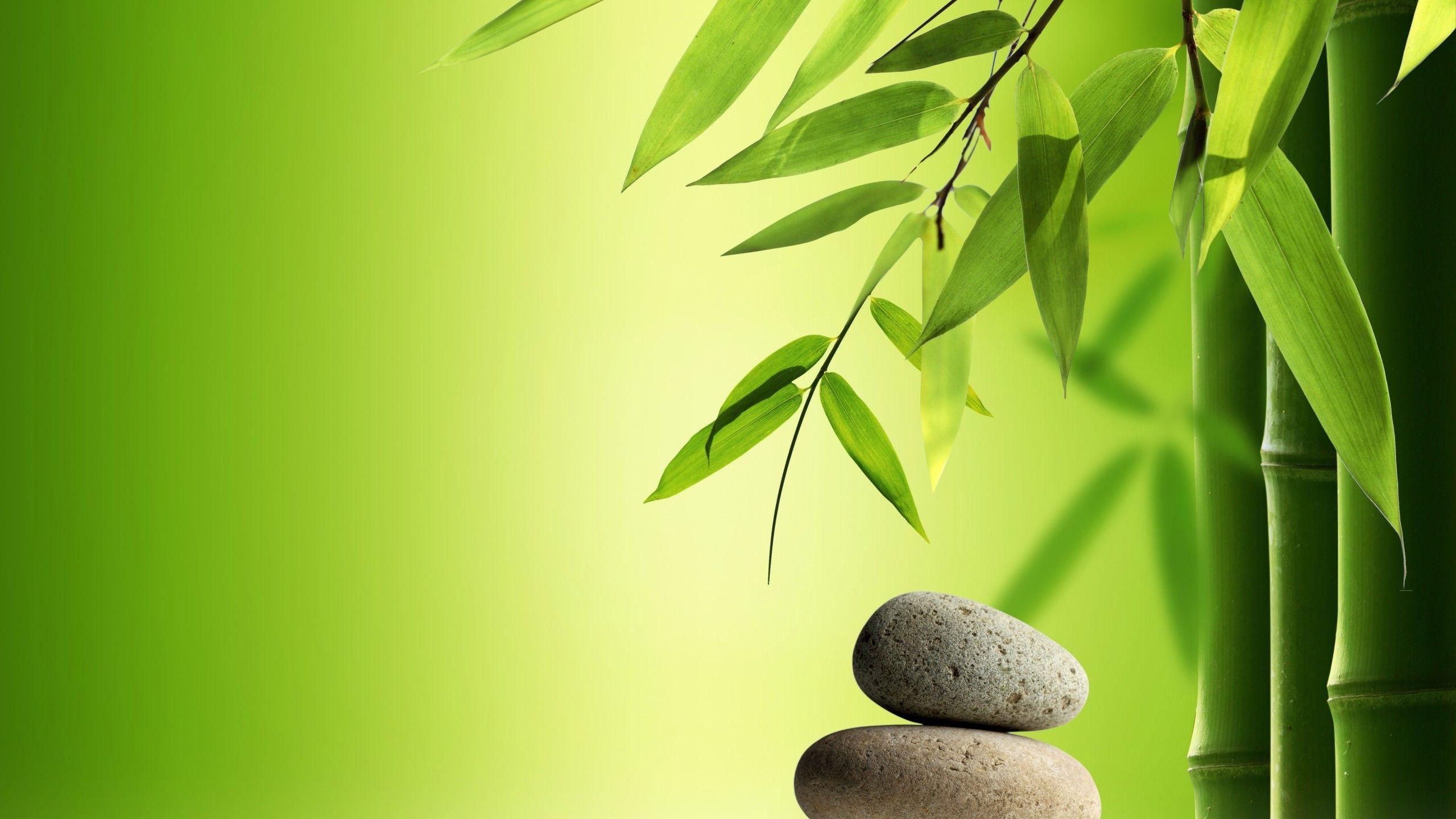 2560x1440 Zen Spa Wallpaper. Water artwork, Bamboo art, Meditation art