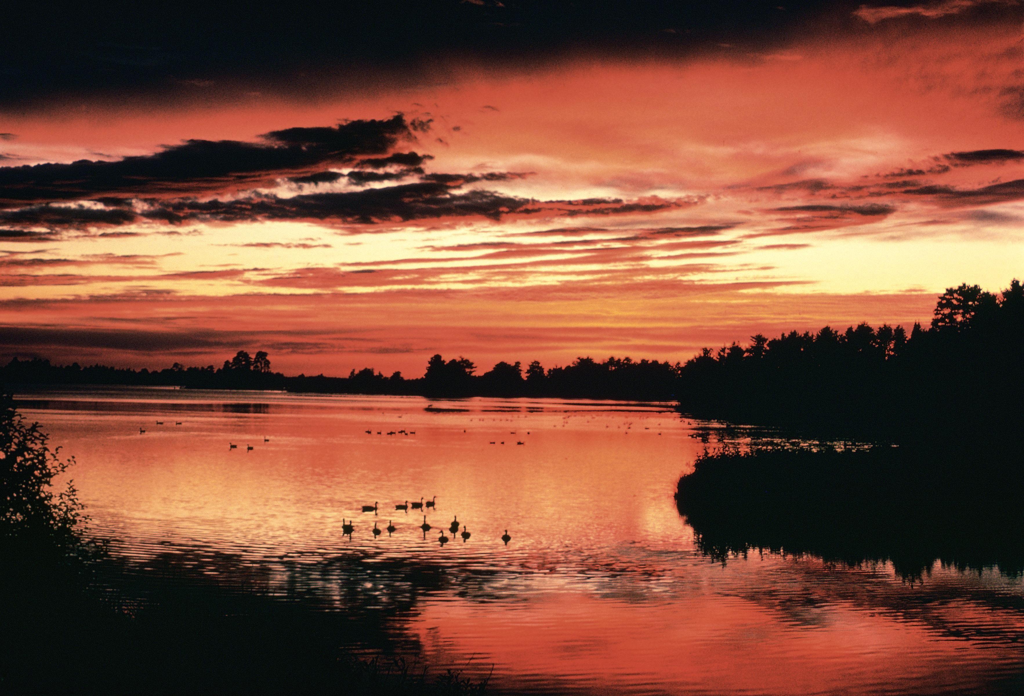 3531x2400 Scenery Image: Free Sunset Background Image