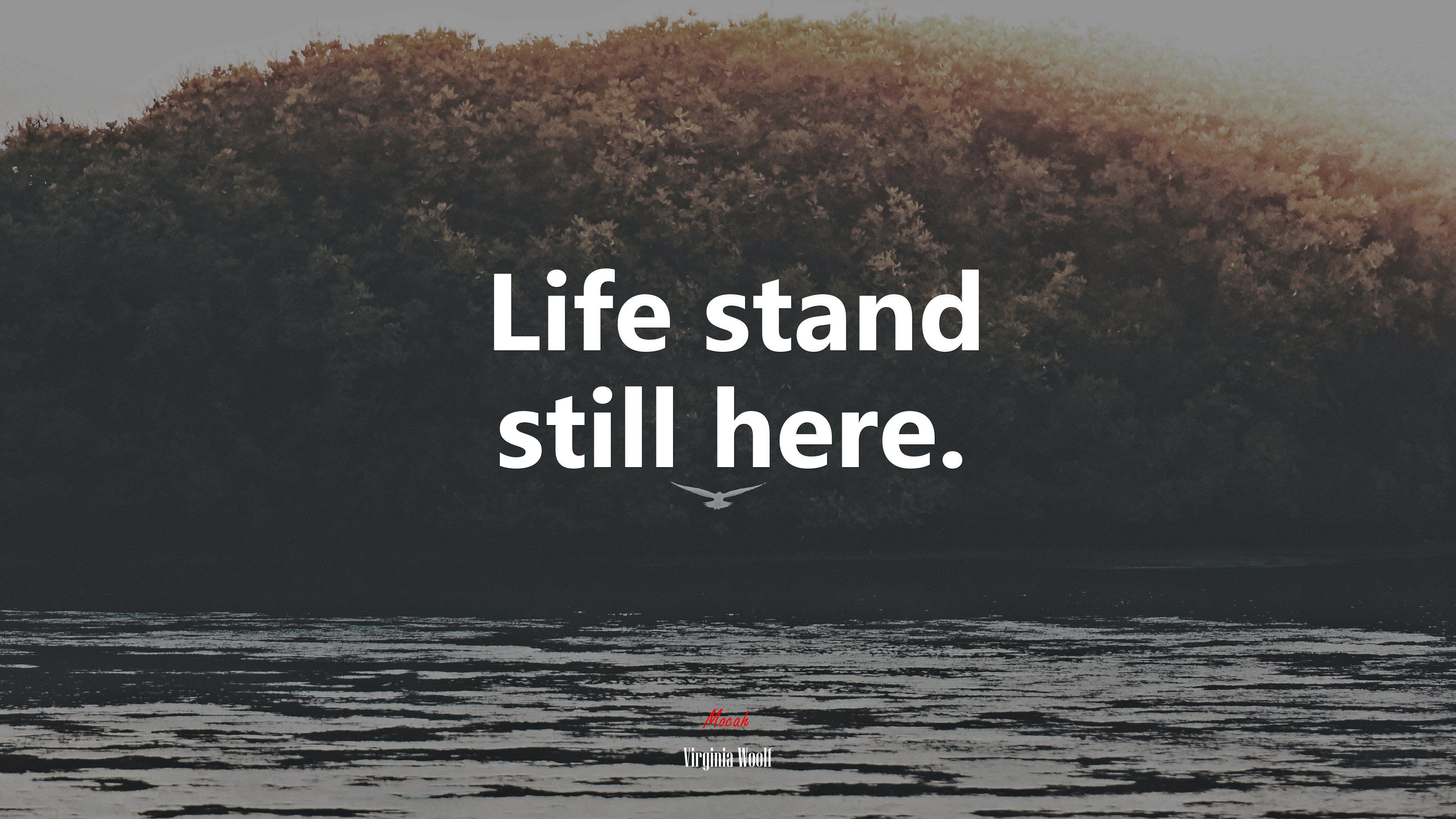 3840x2160 Life stand still here. Virginia Woolf quote, 4k wallpaper