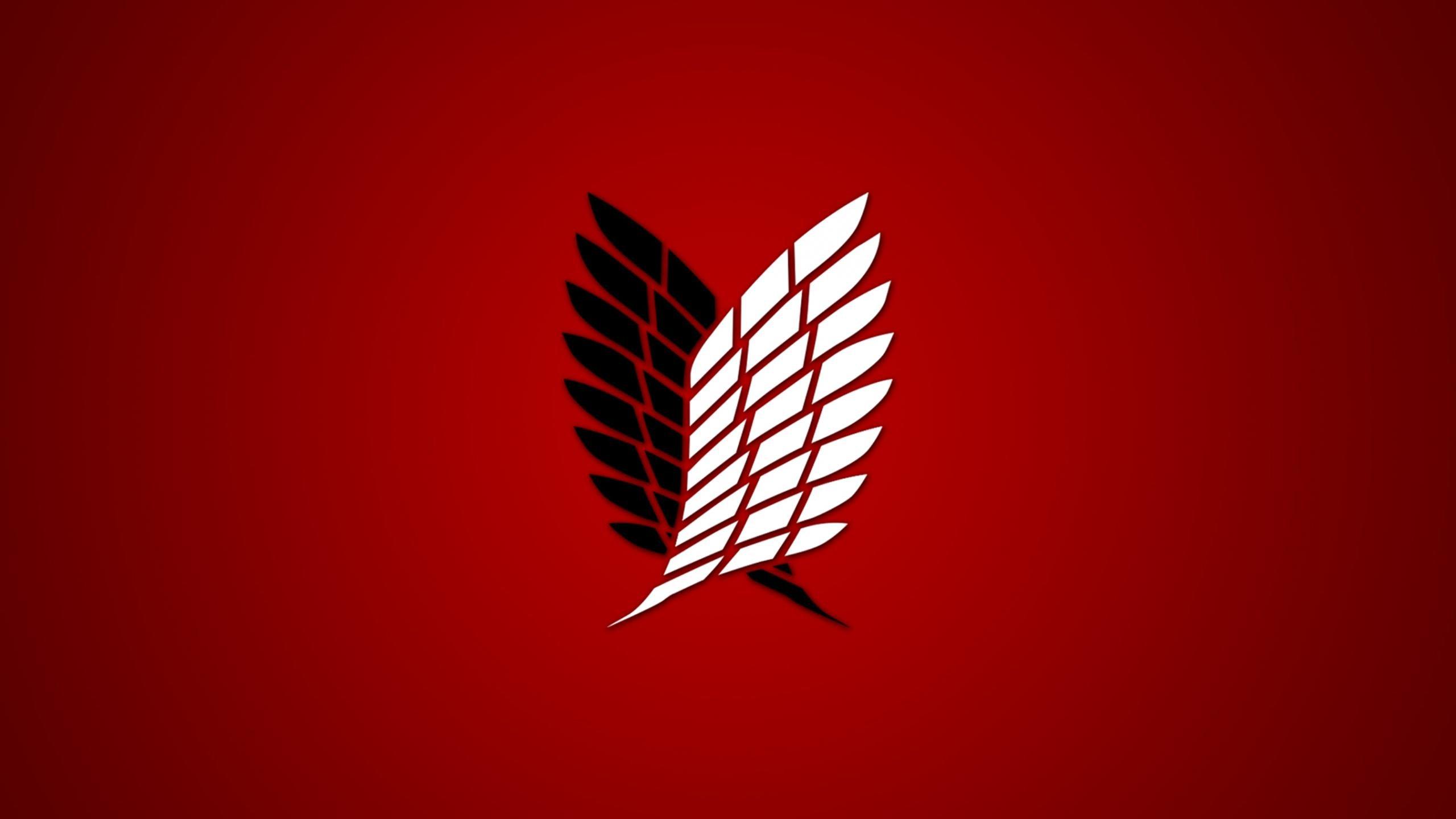 2560x1440 Attack On Titan wallpaper 2560x1440 desktop background