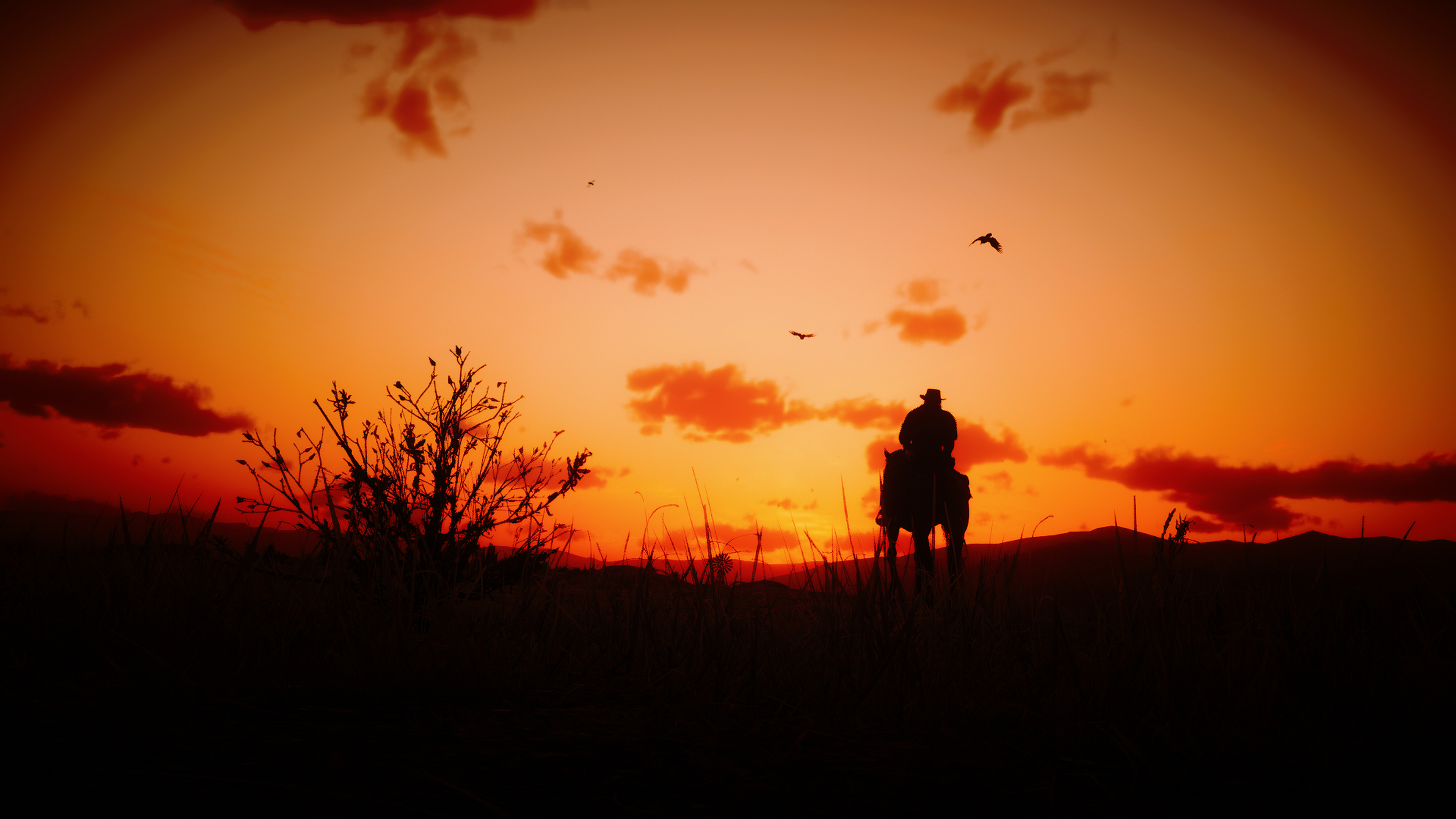 3840x2160 Red Dead Redemption 2 Horizontal Cool Wallpaper, HD Games 4K Wallpaper, Image and Background