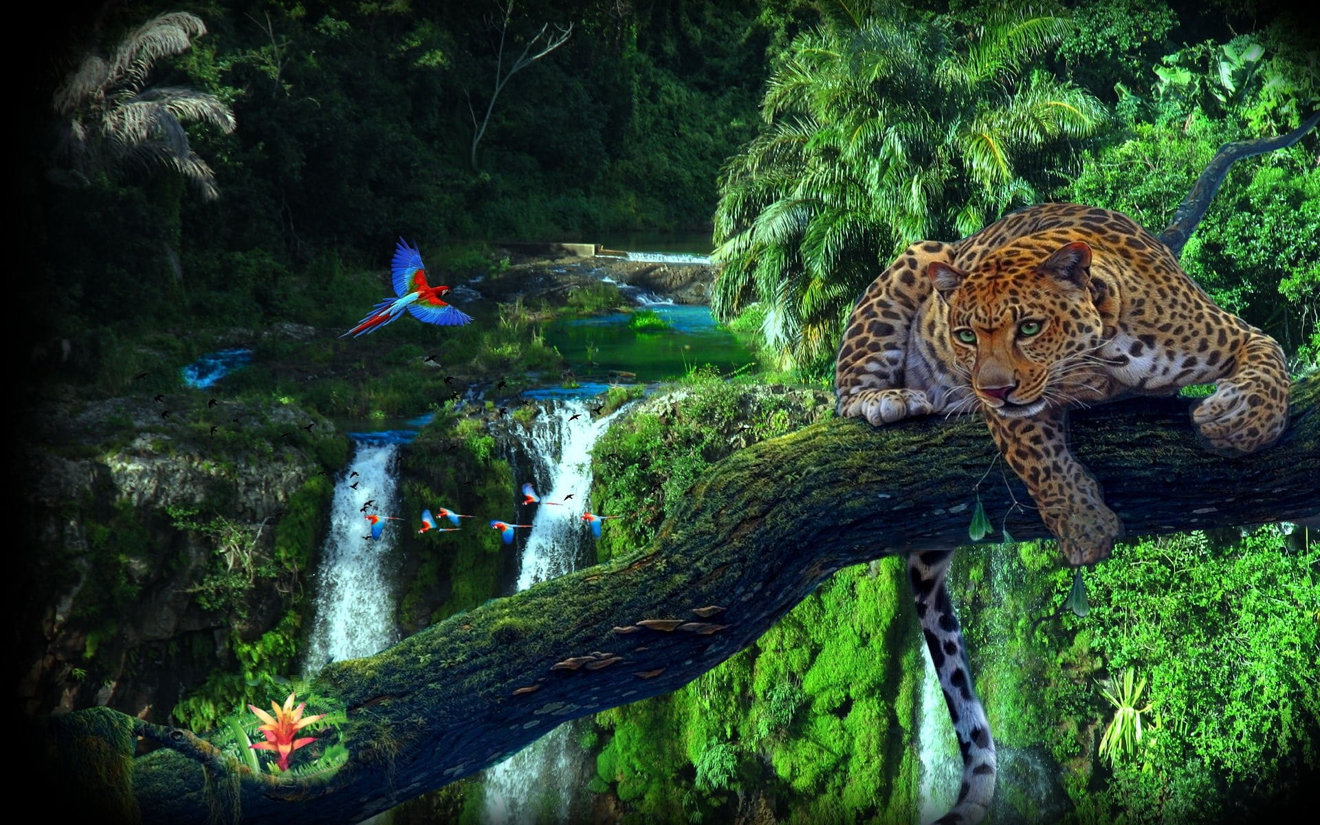 1920x1200 Leopard, nature, animals, forest, waterfall HD wallpaper