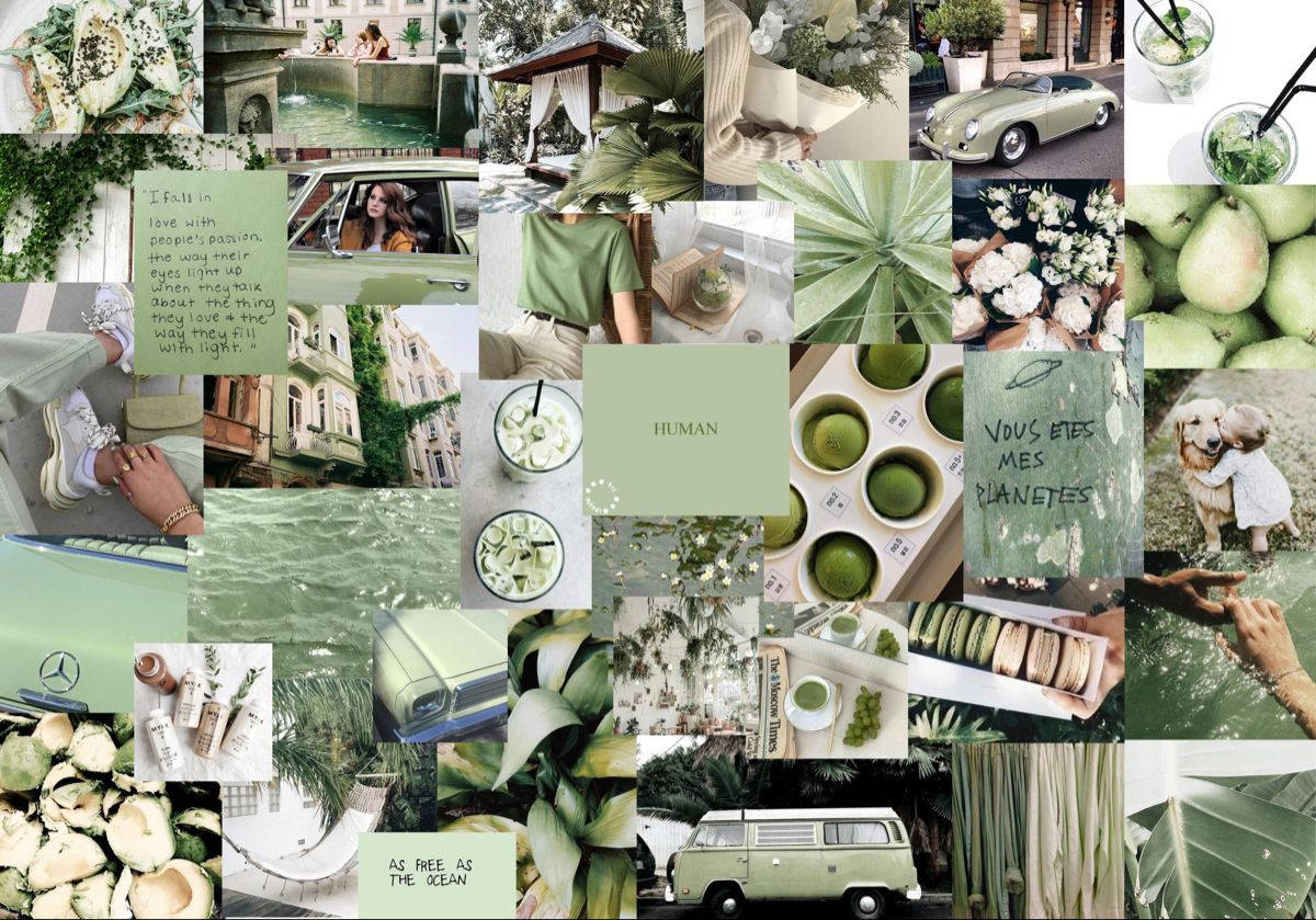 1200x839 Download Matcha Green Aesthetic Collage Laptop Wallpaper