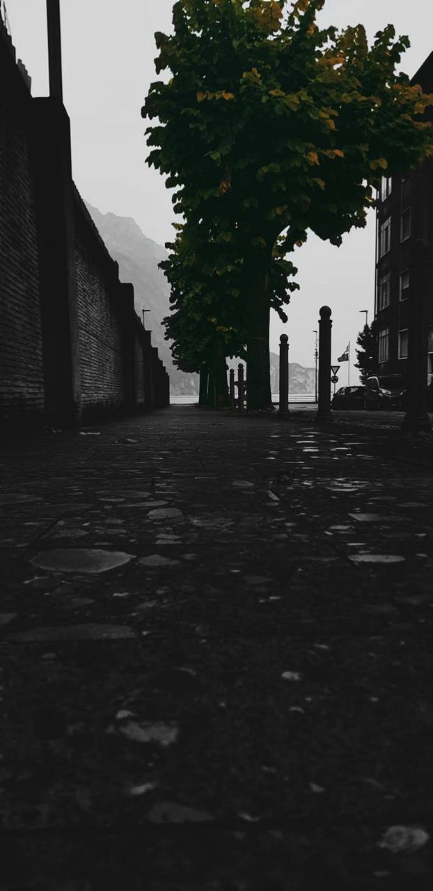 622x1280 Galaxy Note 20 Ultra wallpaper