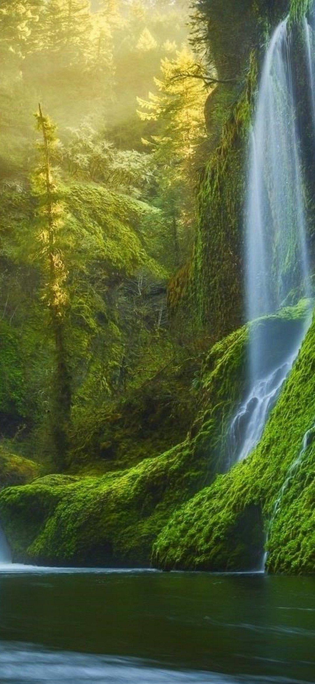 1080x2340 Background HD Wallpaper