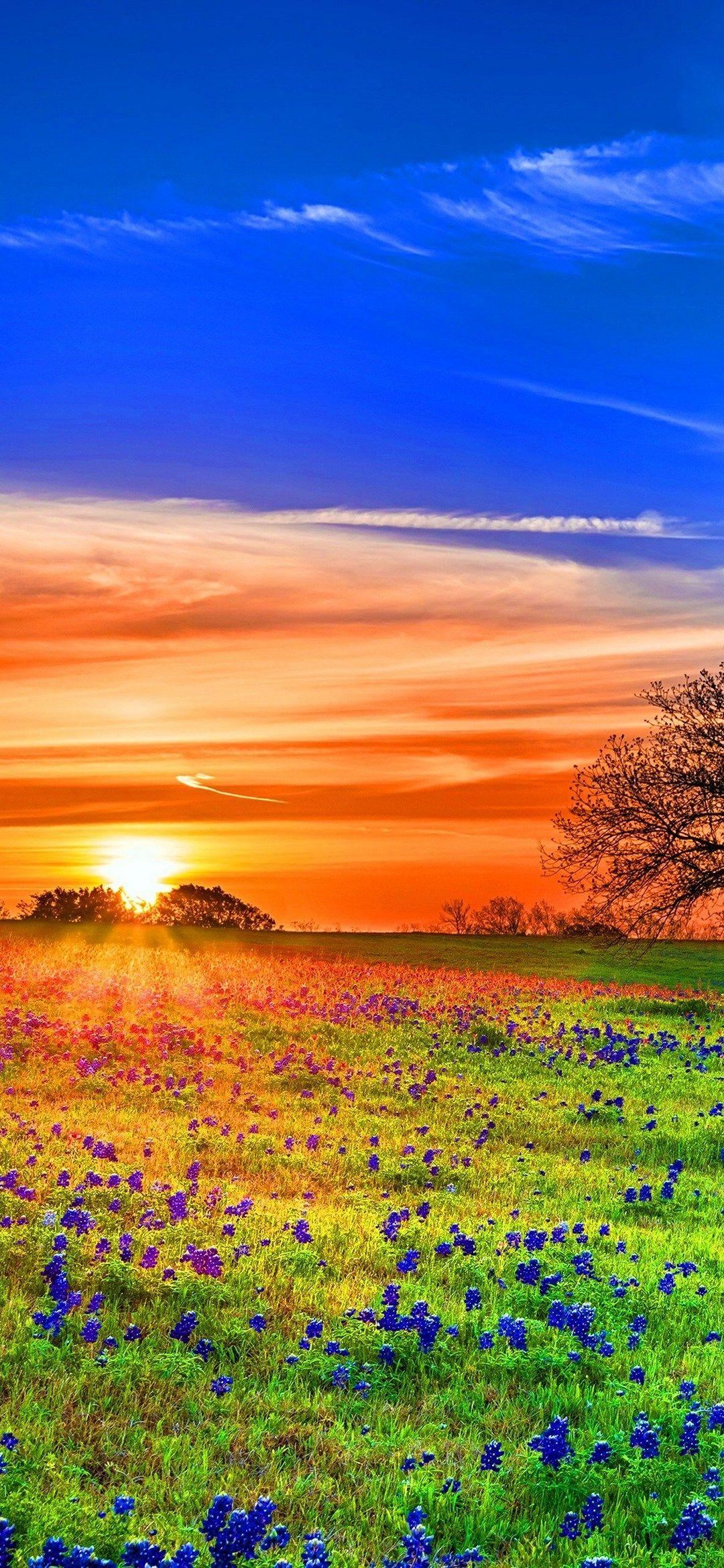 1080x2340 Background HD Wallpaper