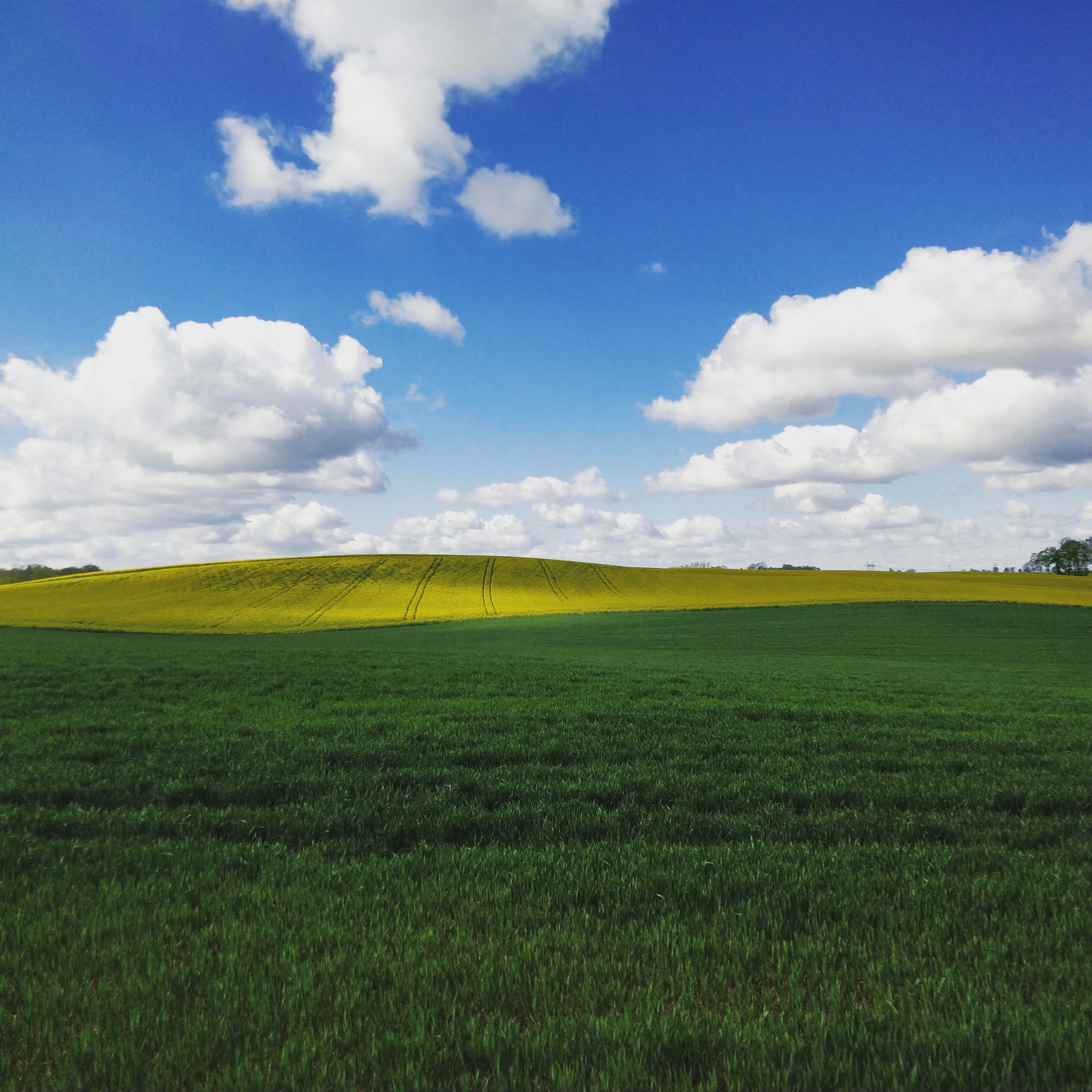 3000x3000 Landscape photo of Windows 7 mountain digital wallpaper