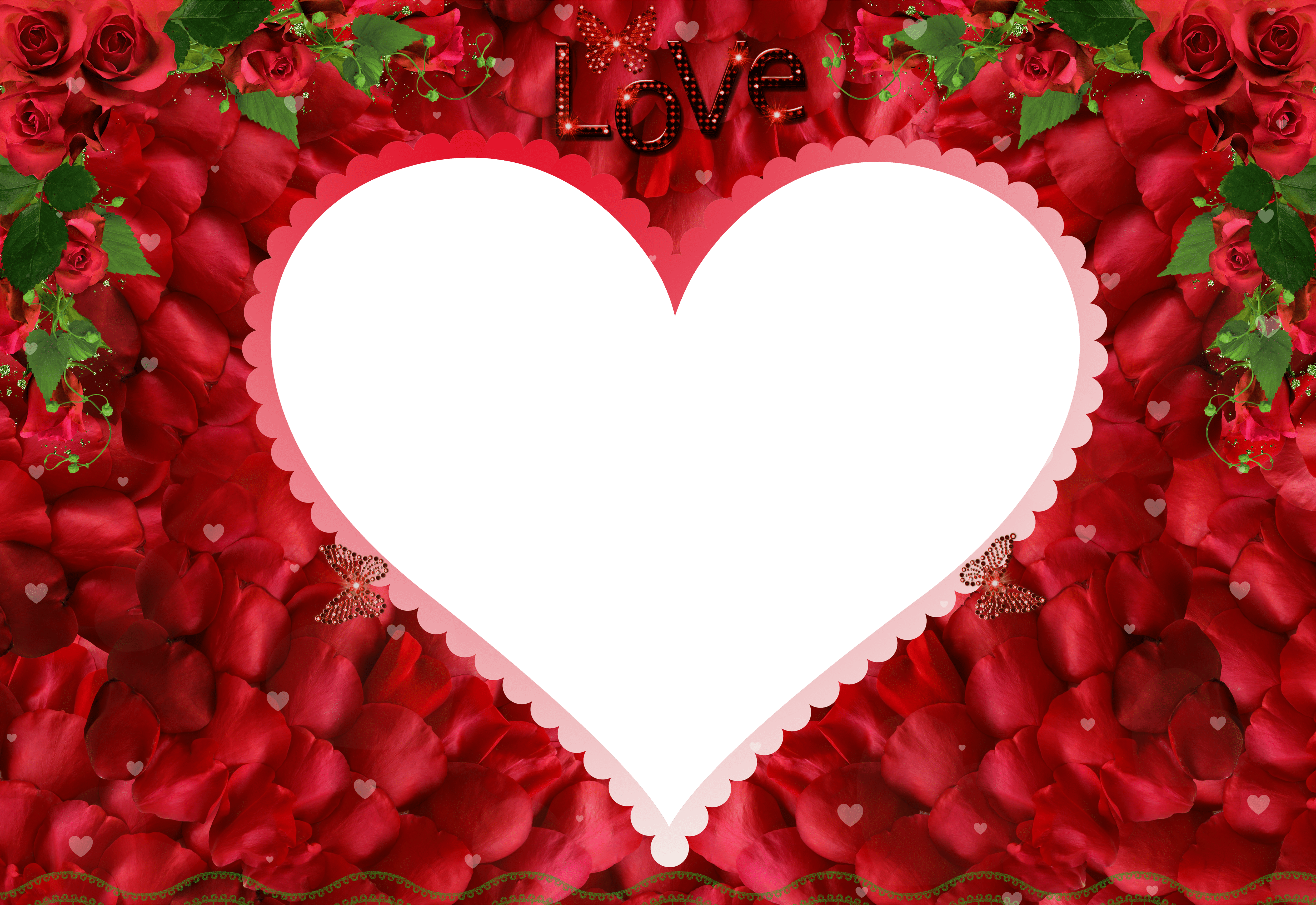 5000x3438 Love Rose Red Transparent PNG Photo Frame​-Quality Free Image and Transparent PNG Clipart