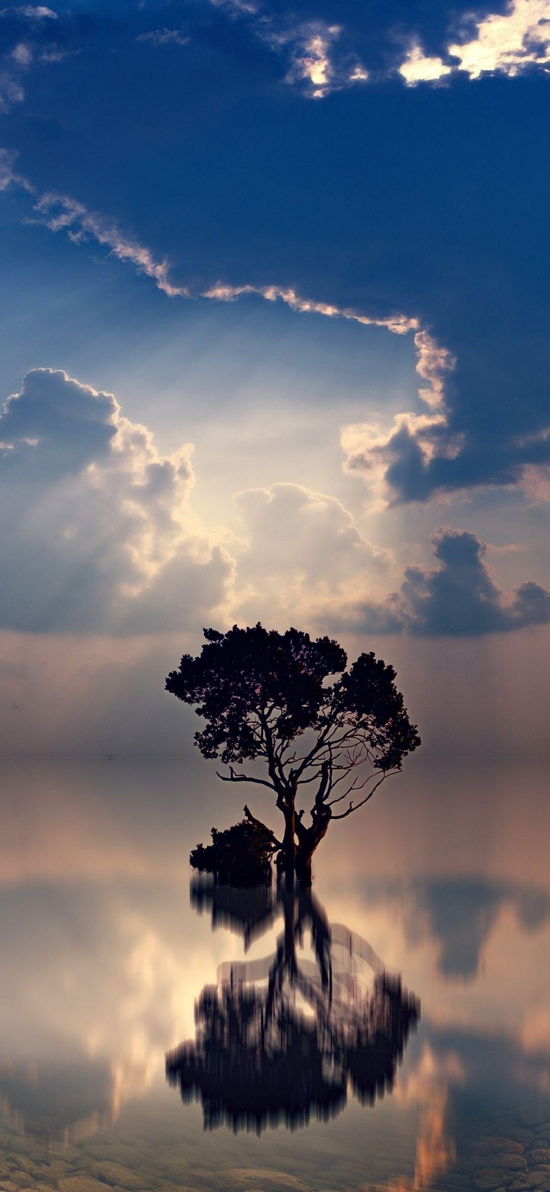 1080x2340 Background HD Wallpaper