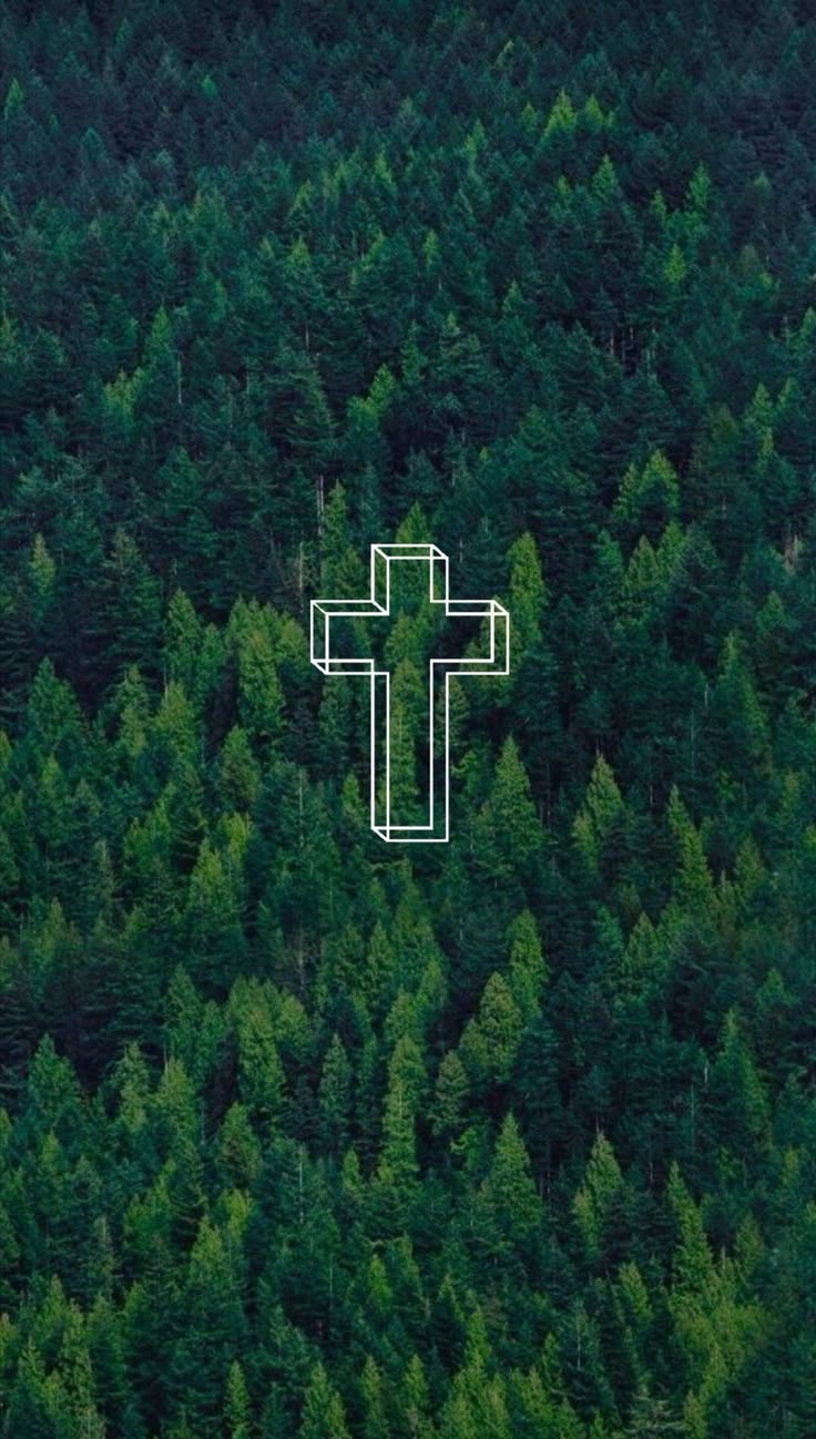736x1298 Green Christian Wallpaper. Christian Quotes. Bibbia, Citazioni, Sfondi