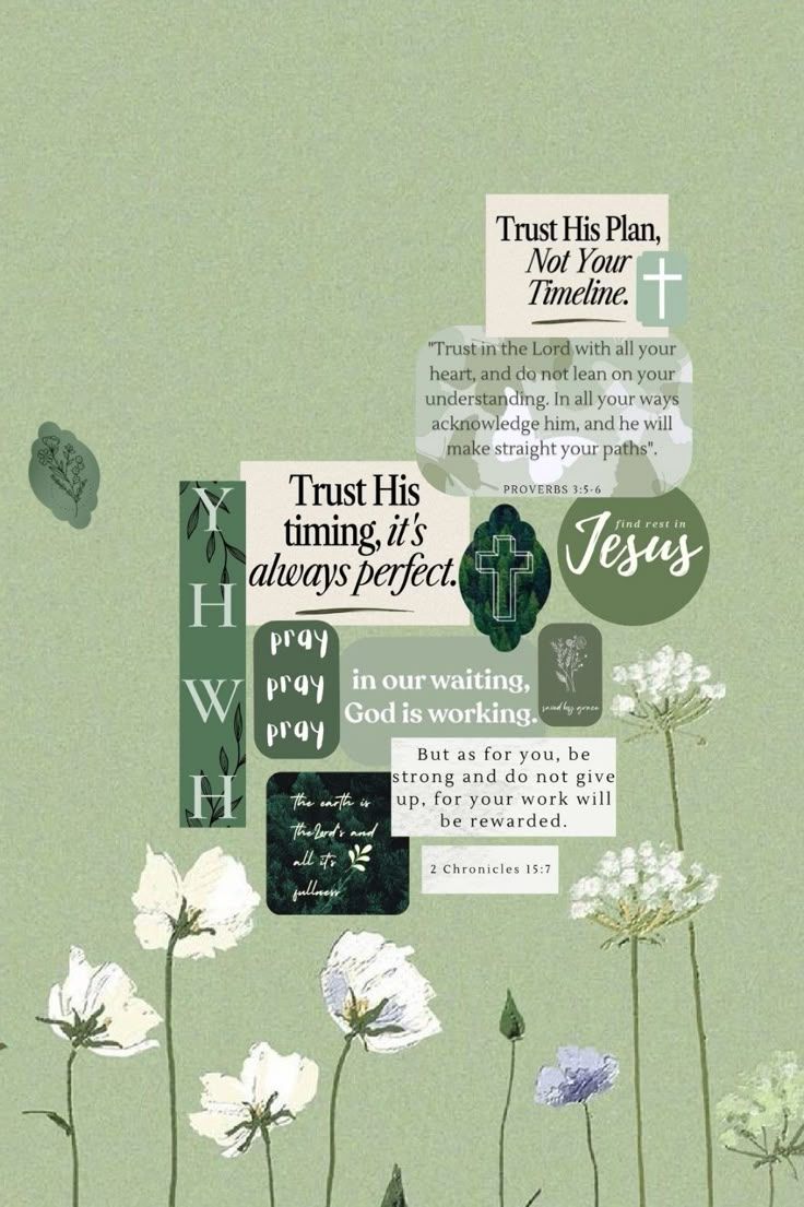 736x1105 Christian Green Aesthetic Phone Wallpaper