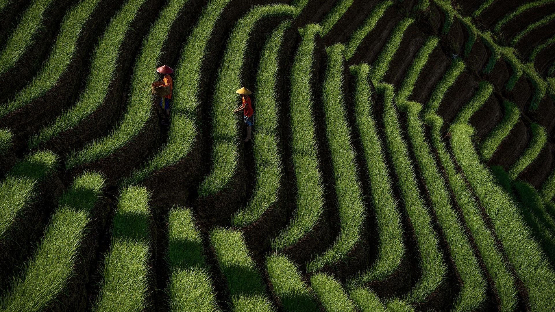 1920x1080 A guide to creating abstract photography that sells