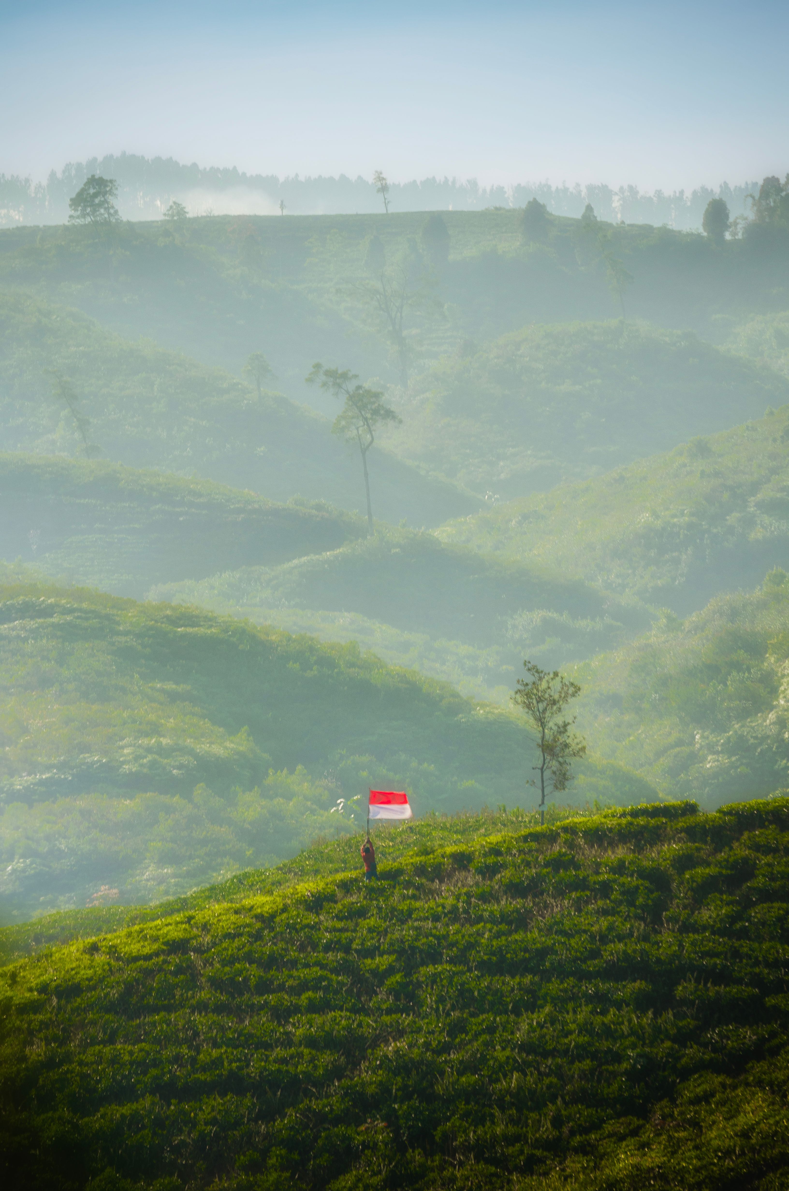 3264x4928 Flag on Green Hills · Free
