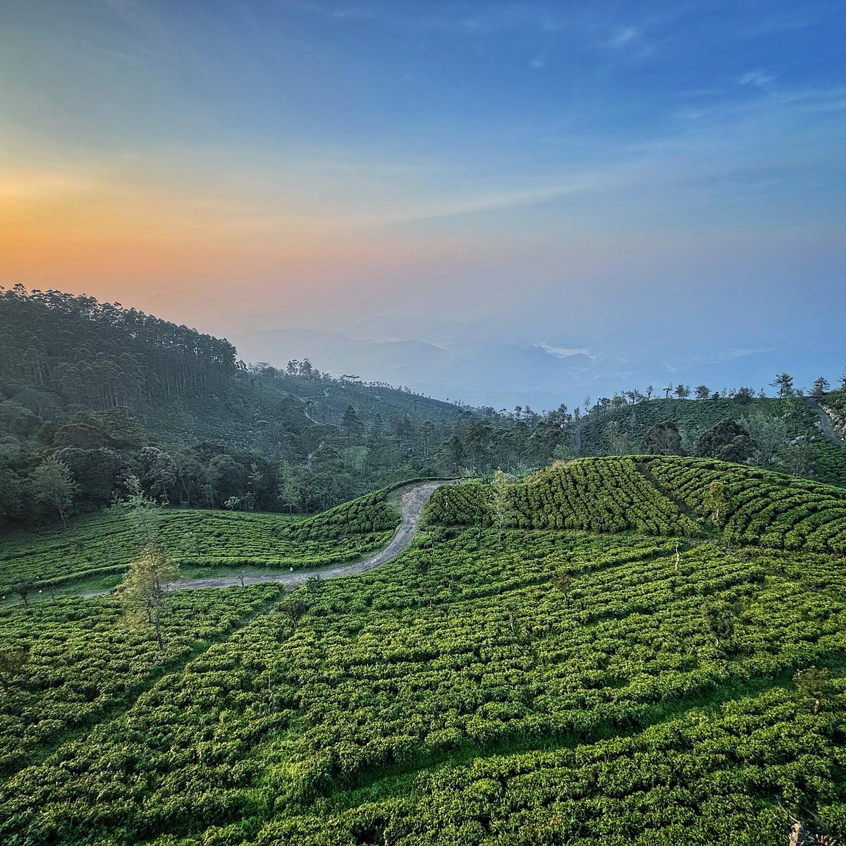 1200x1200 Ceylon Rides You SHOULD Know Before Going 2026 (with Reviews)