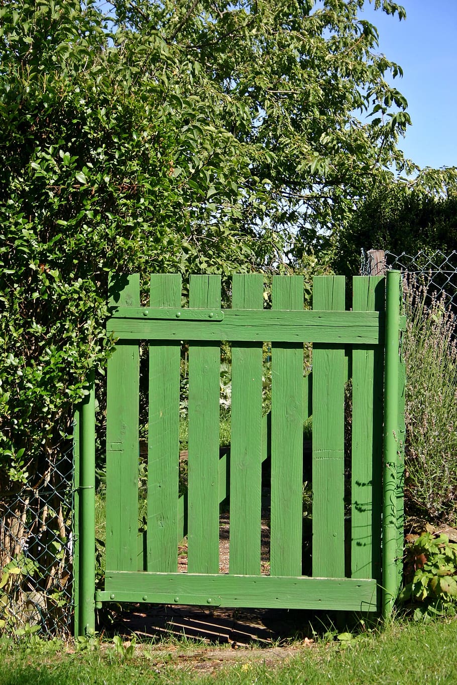 910x1365 HD wallpaper: Allotment, Garden, Gate, garden gate, green, summer, colorful
