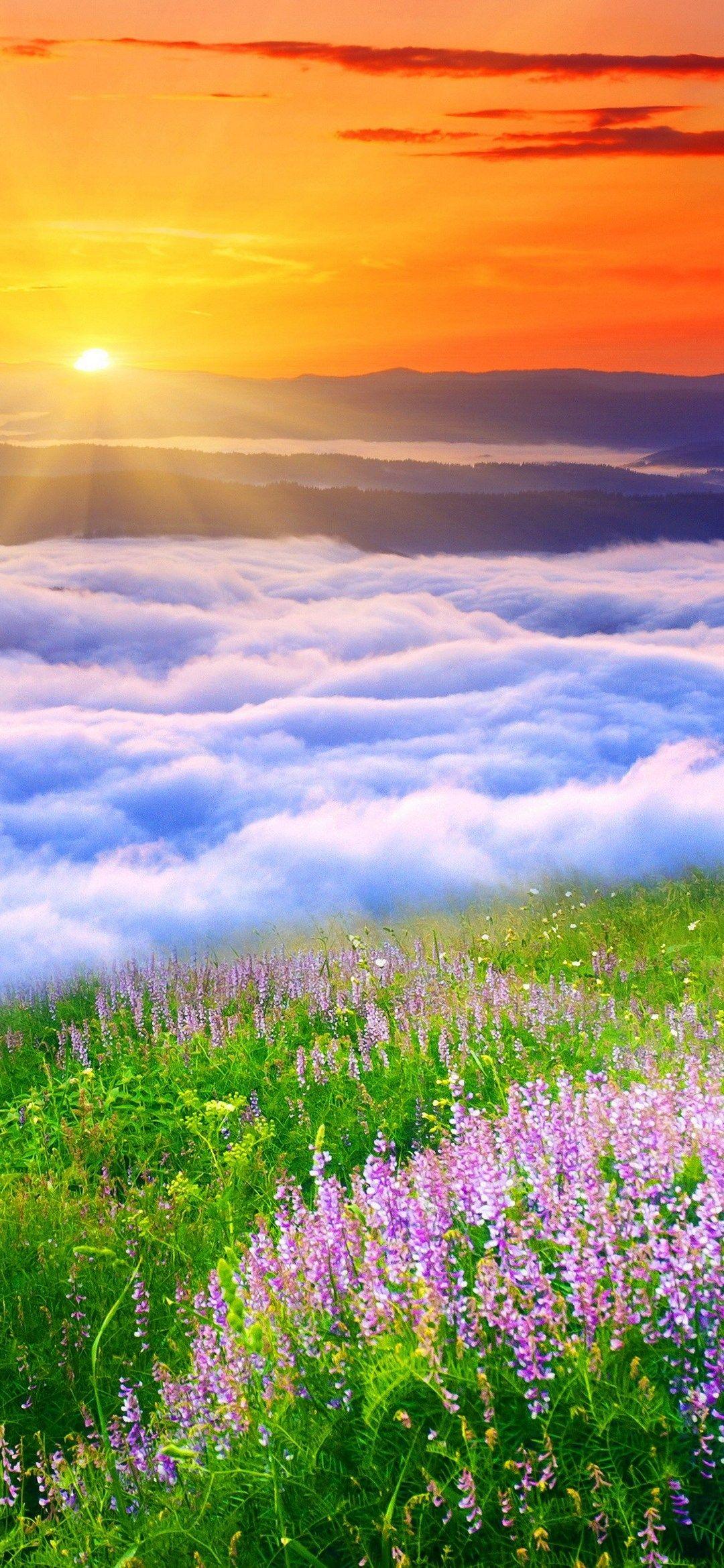 1080x2340 Background HD Wallpaper