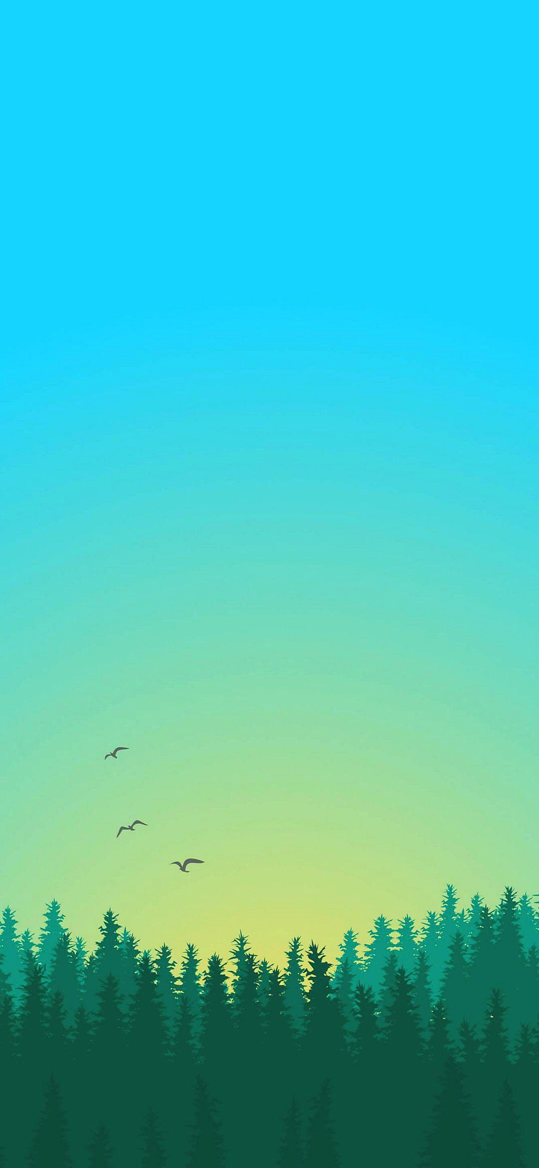 1080x2340 Minimalist Nature Landscape Birds Android 4K Wallpaper ⋆ Traxzee