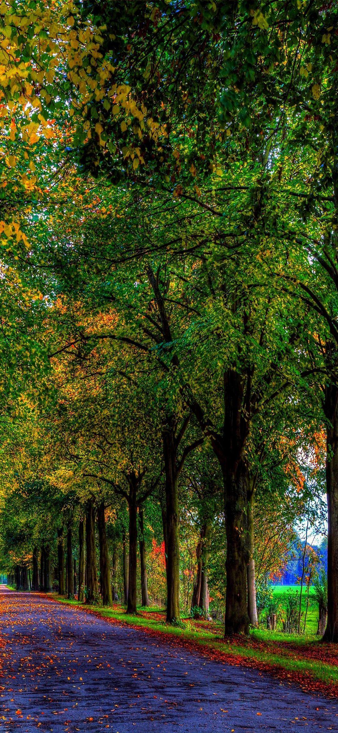 1080x2340 Background HD Wallpaper