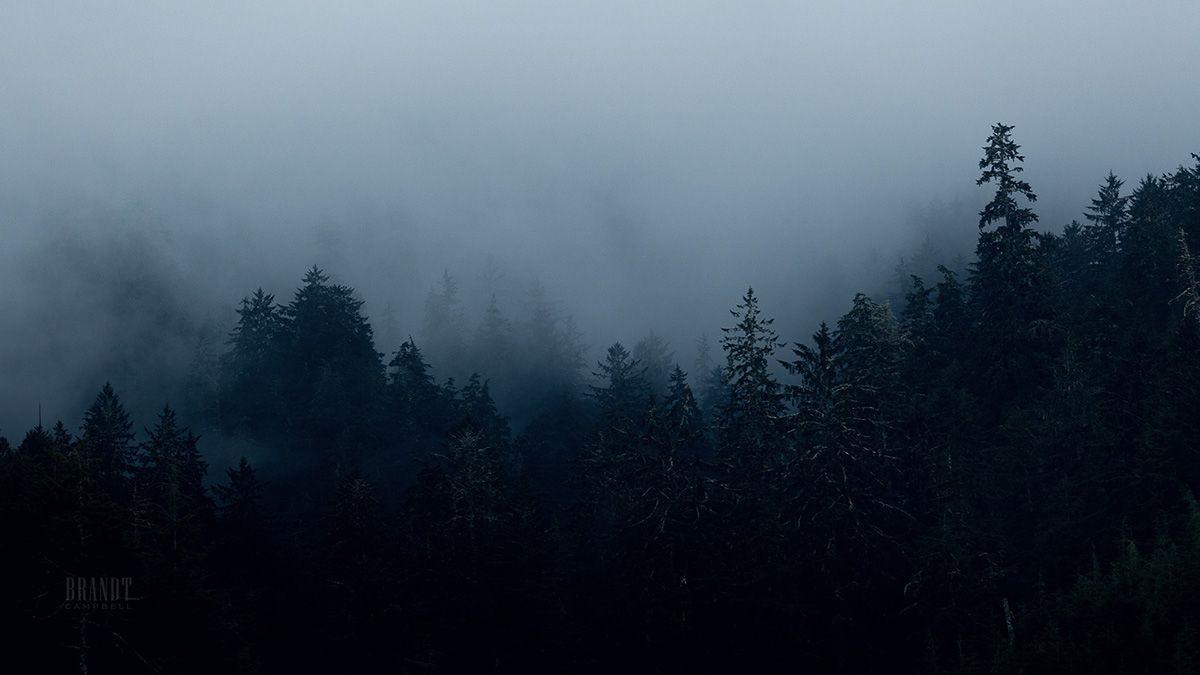 1200x675 The Nightlands