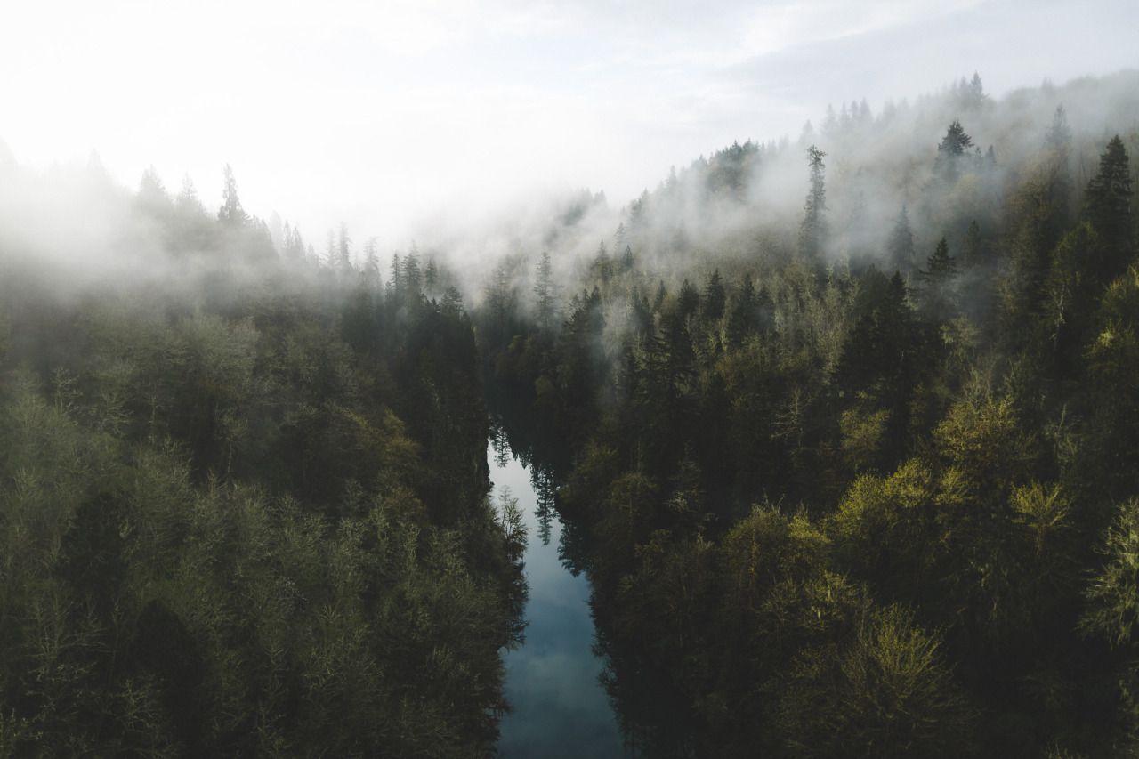 1280x853 A Pacific Northwest Bucket List. Pacific northwest and Buckets