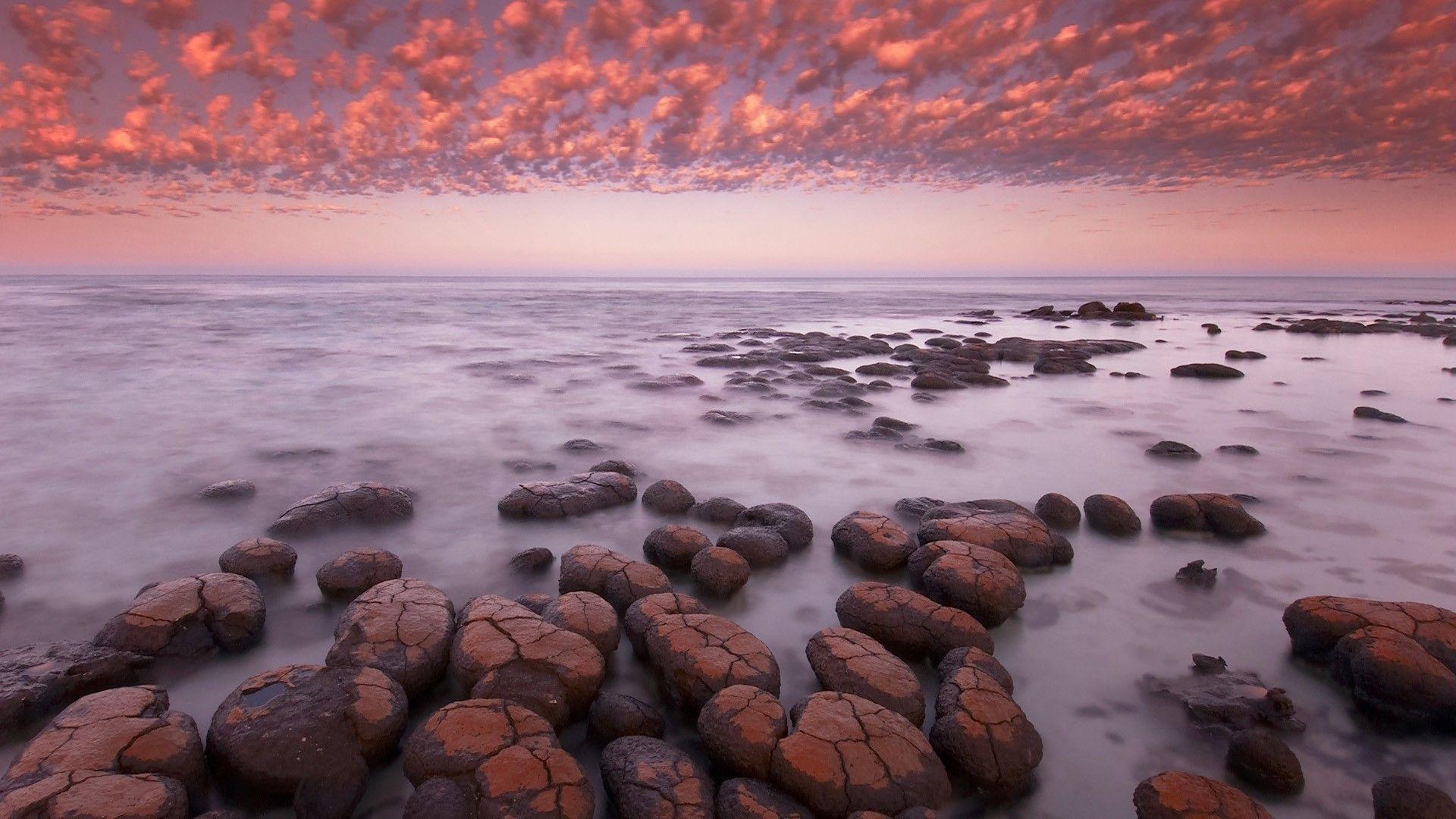 1920x1080 Dawn Sharks Western Australia Bay (1920 X 1080)