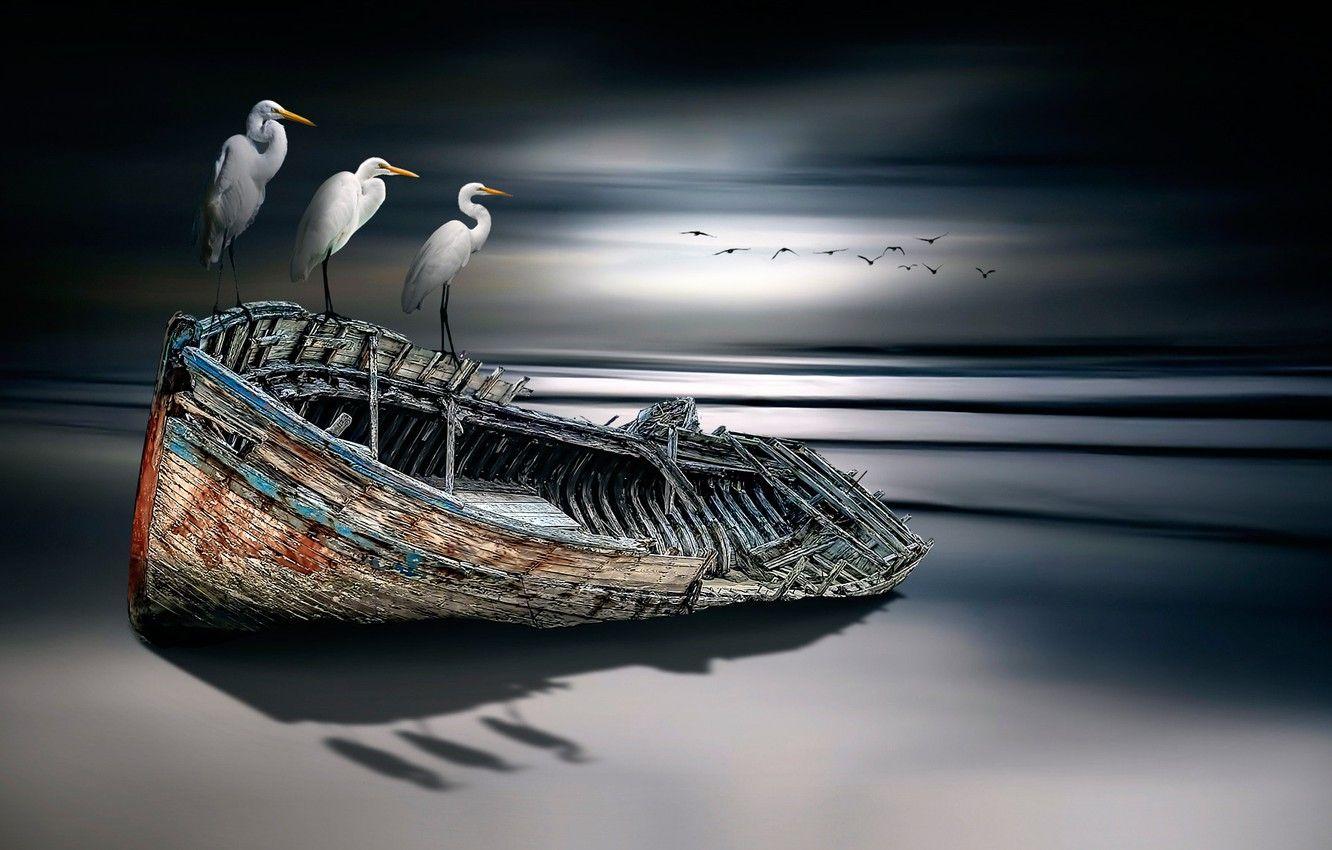1332x850 Wallpaper birds, boat, fine art image for desktop, section рендеринг