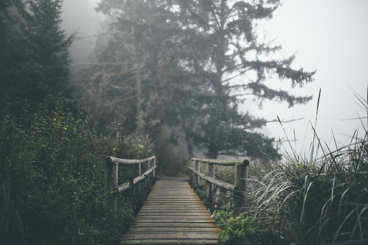 1280x853 Nature Wallpaper tumblr HD Wallpaper Download For Mobile