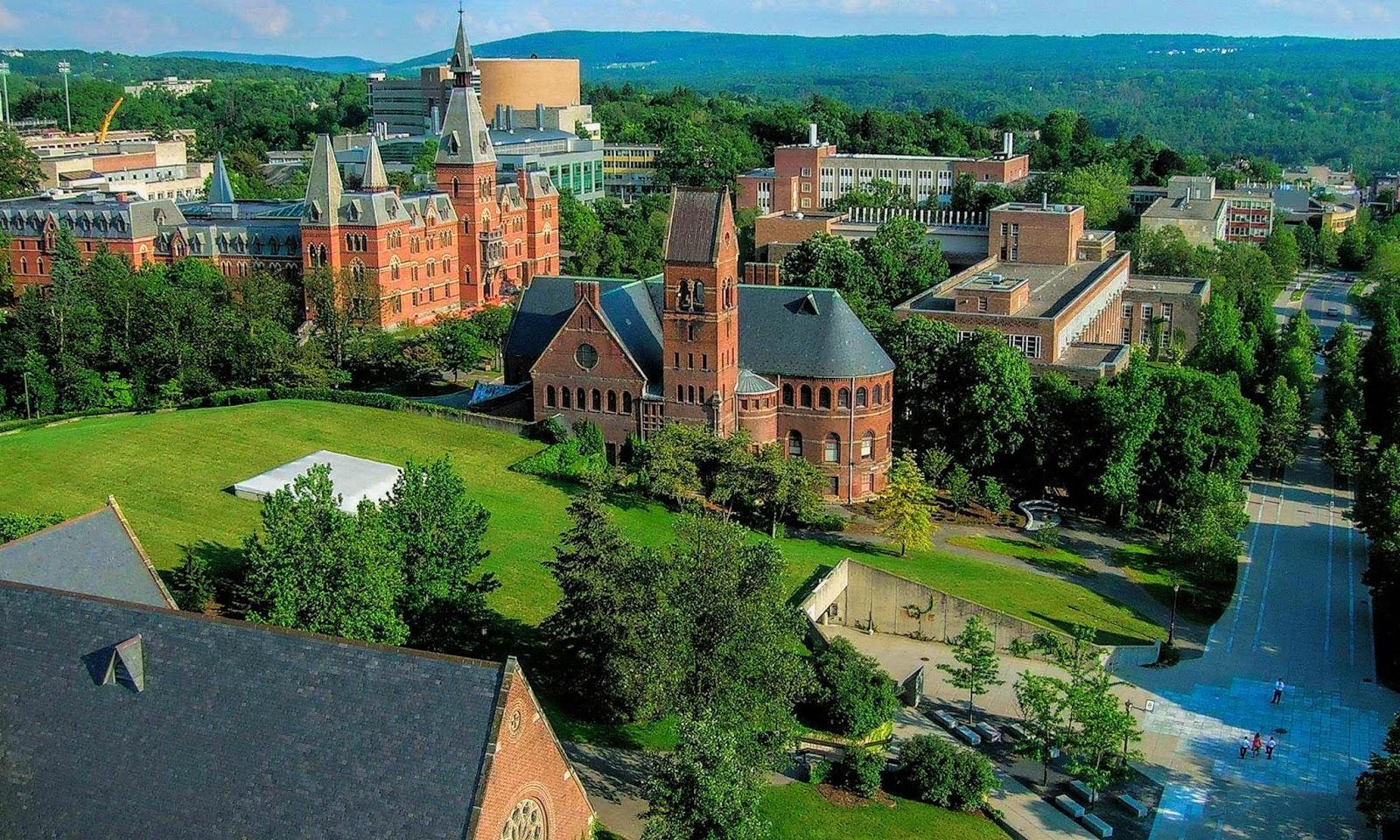 1600x960 Princeton Wallpaper