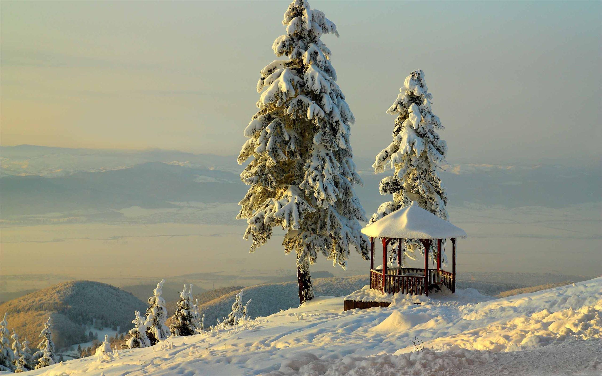 2560x1600 Mountains Bellevue MacBook Air Wallpaper Download