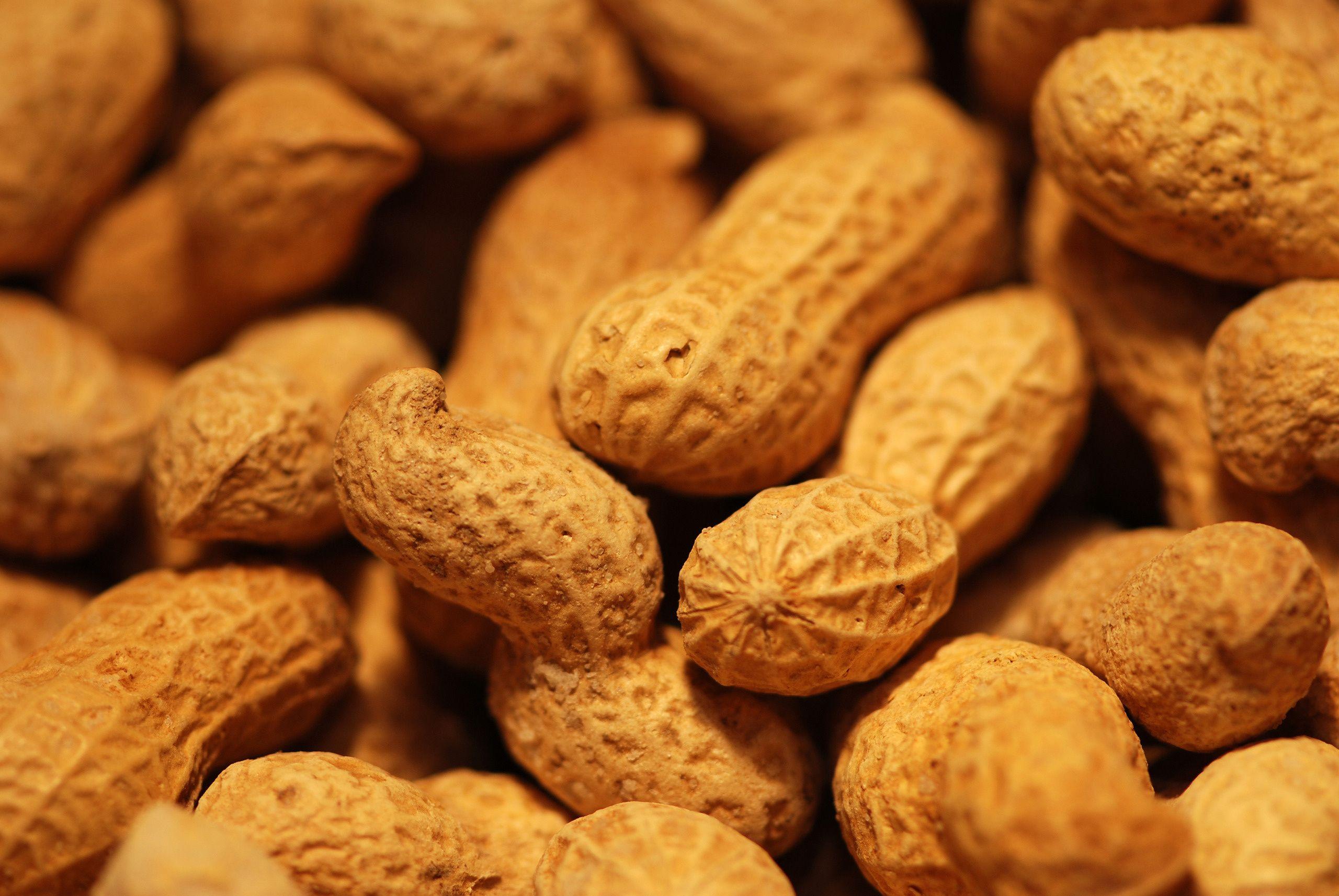 2560x1714 Free download Wallpaper peanut food nut desktop wallpaper Other GoodWPcom [2560x1714] for your Desktop, Mobile & Tablet. Explore Nuts Wallpaper. Walnut Wallpaper, Wallpaper Los Angeles, LA Angels Wallpaper