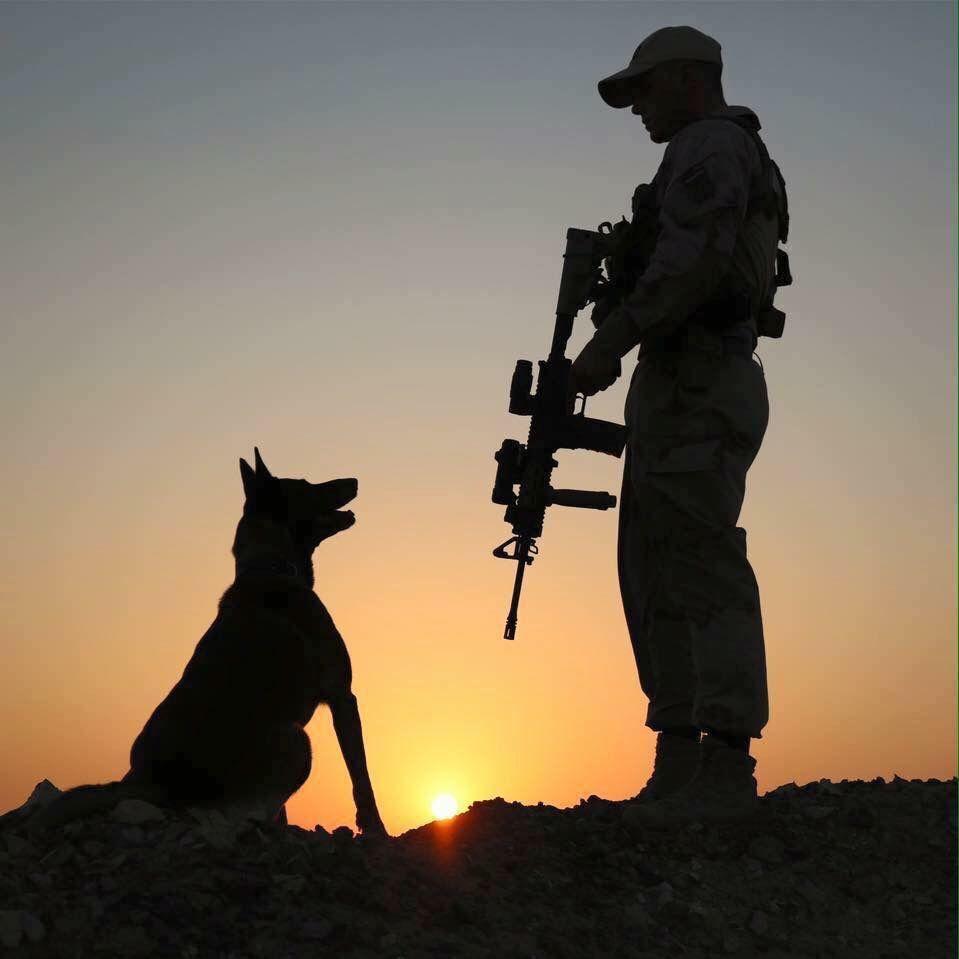 959x959 Military wallpaper