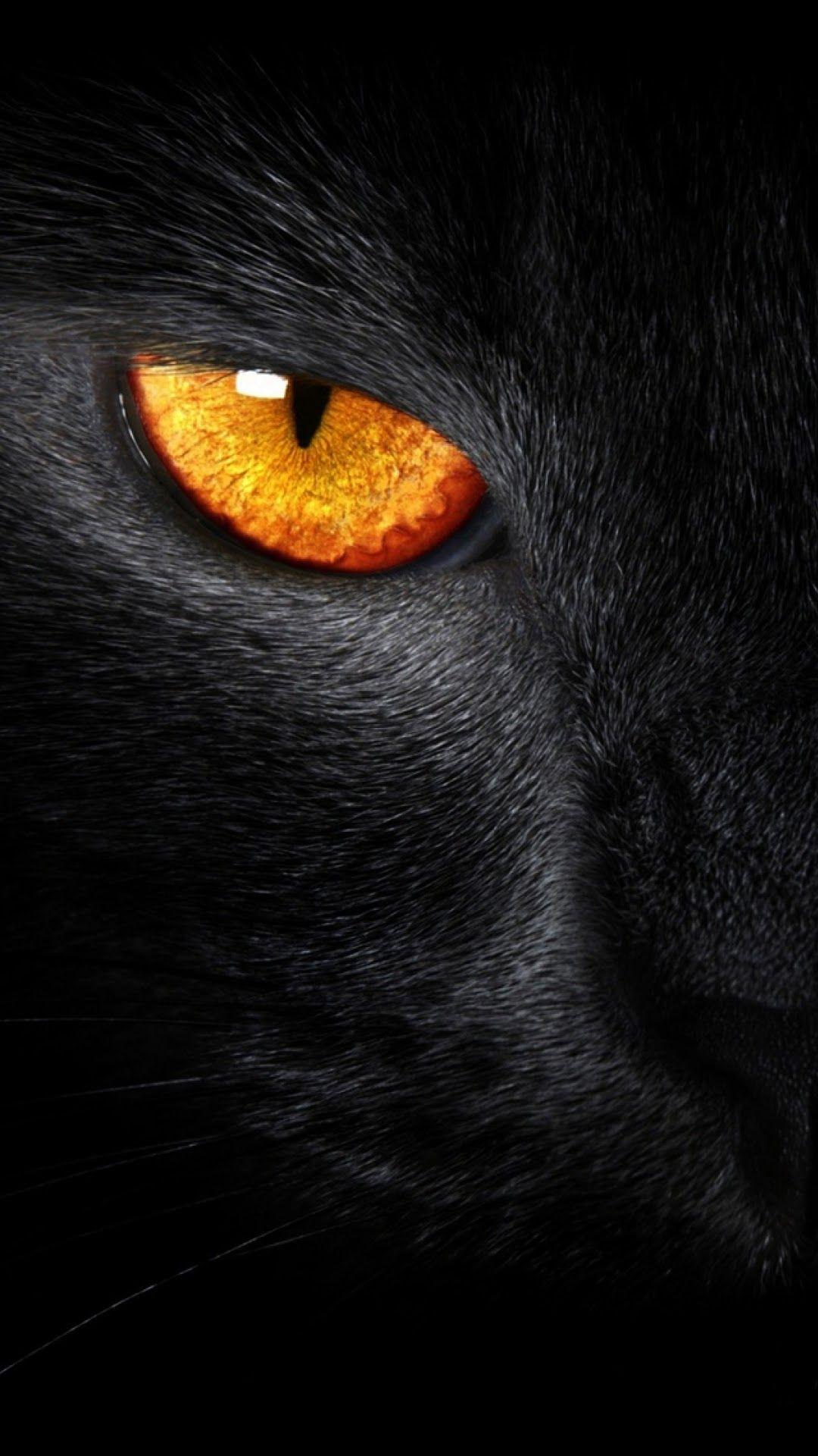 1080x1920 Android Best Wallpaper: Black Cat Evil Eye Android Best Wallpaper
