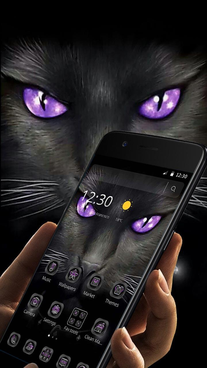 Evil Black Cat Wallpapers - Top Free Evil Black Cat Backgrounds ...