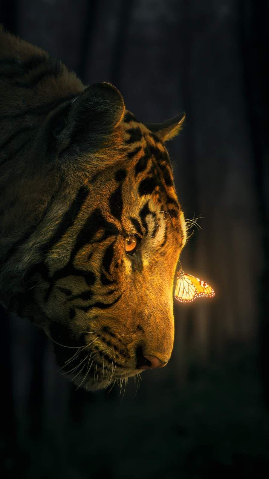 900x1600 Glow in the Dark iPhone Wallpaper. Tiger photography, Tiger wallpaper, Wild animal wallpaper