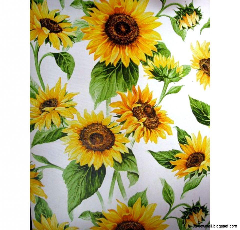 962x921 Aesthetic Vintage Sunflower Desktop Wallpaper Wallpaper Portal