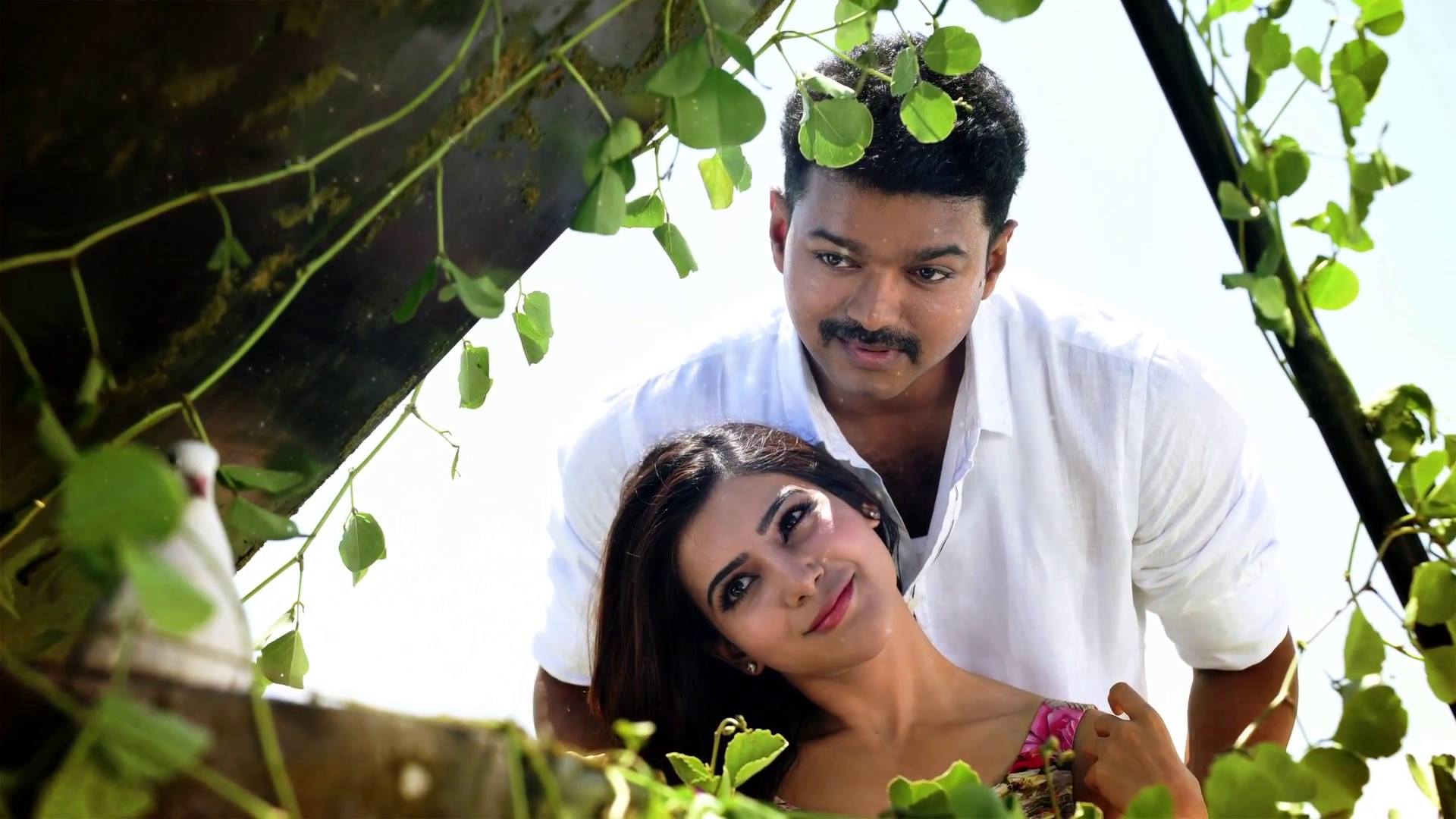 1920x1080 Theri Samantha Vijay Wallpaper
